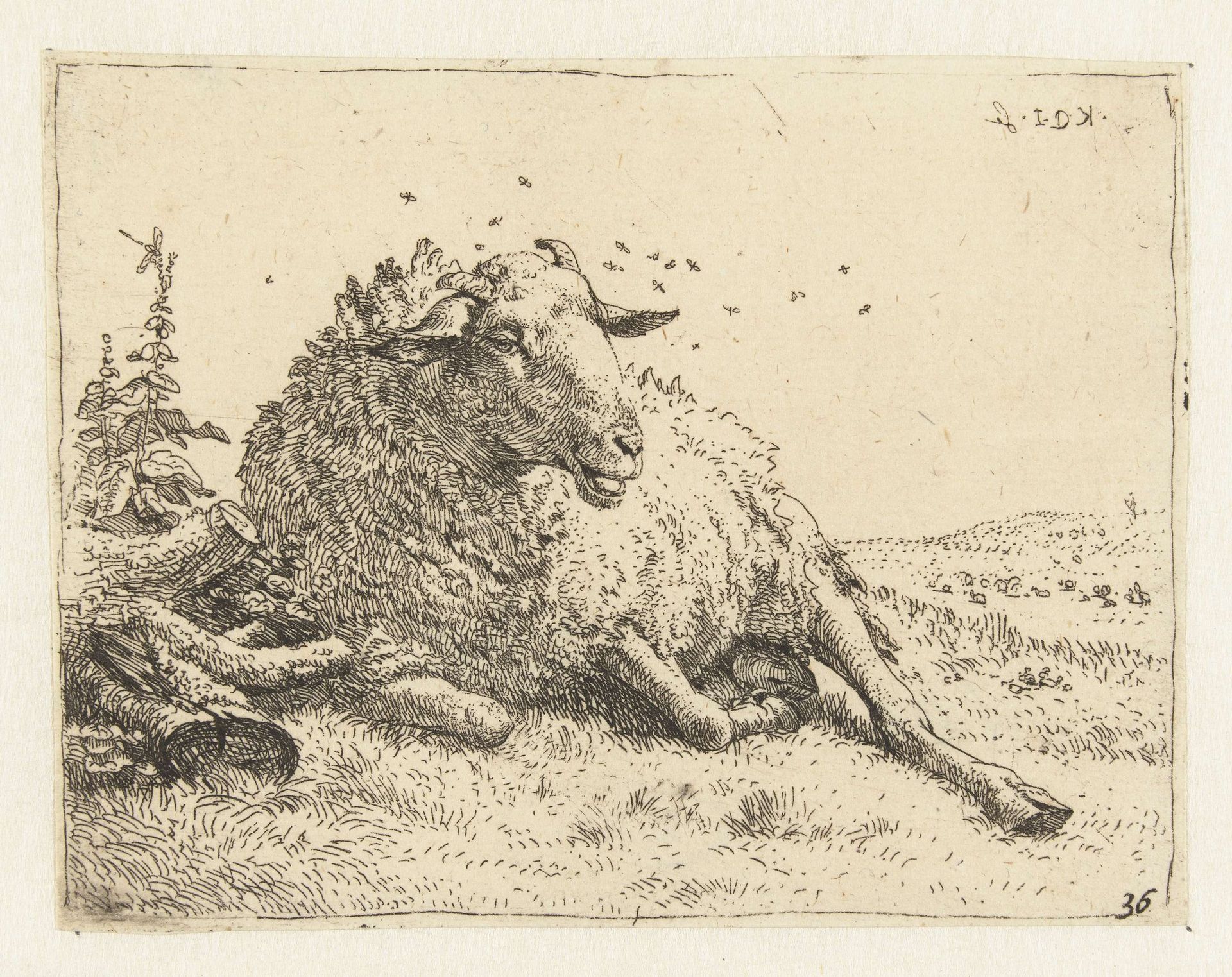 Schaap bij een boomstam by Karel du Jardin