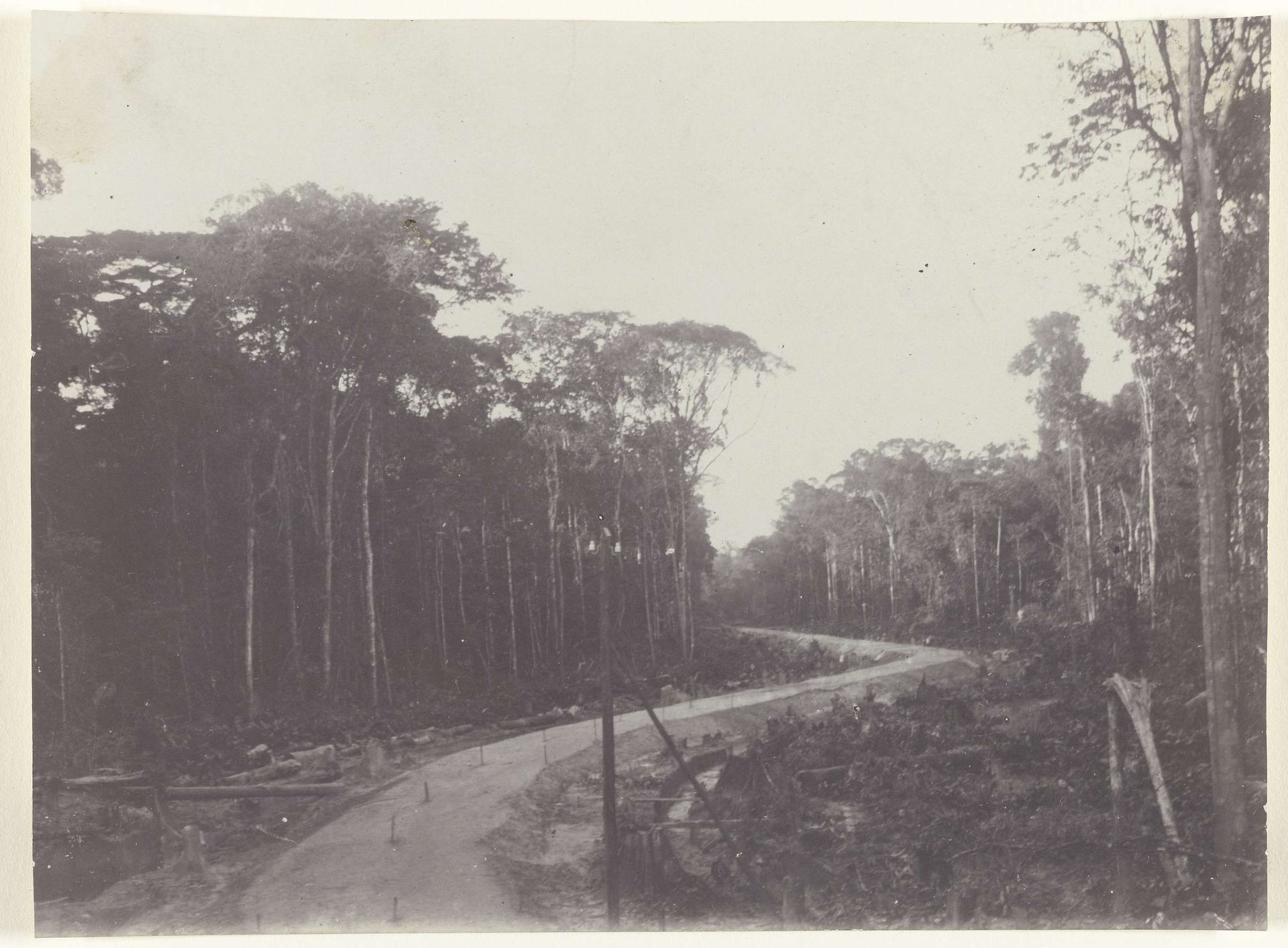 Spooraanleg te Suriname by Anonymous