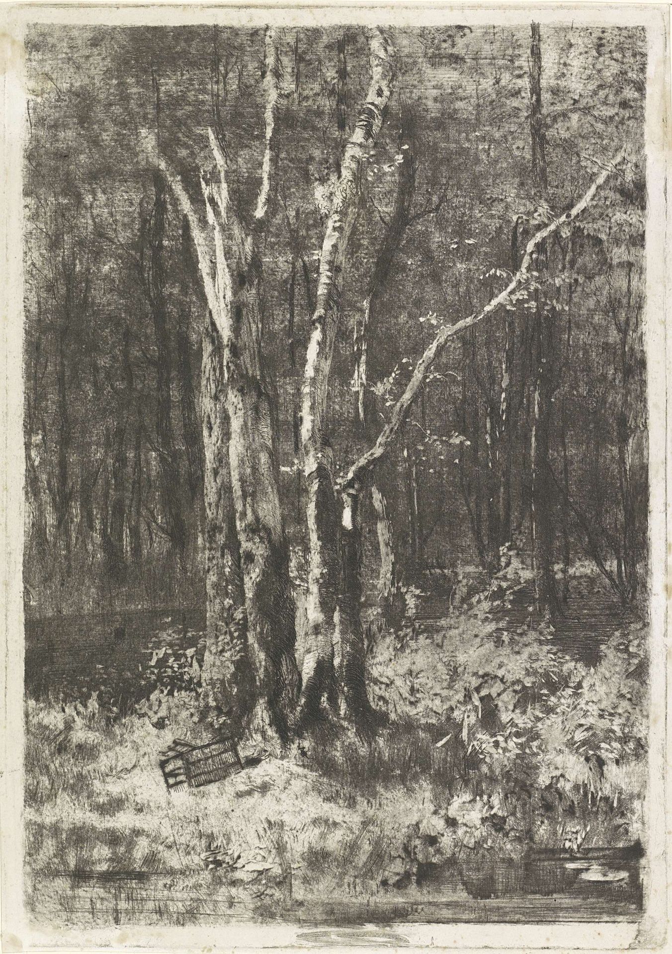 Bosgezicht by Luigi Conconi