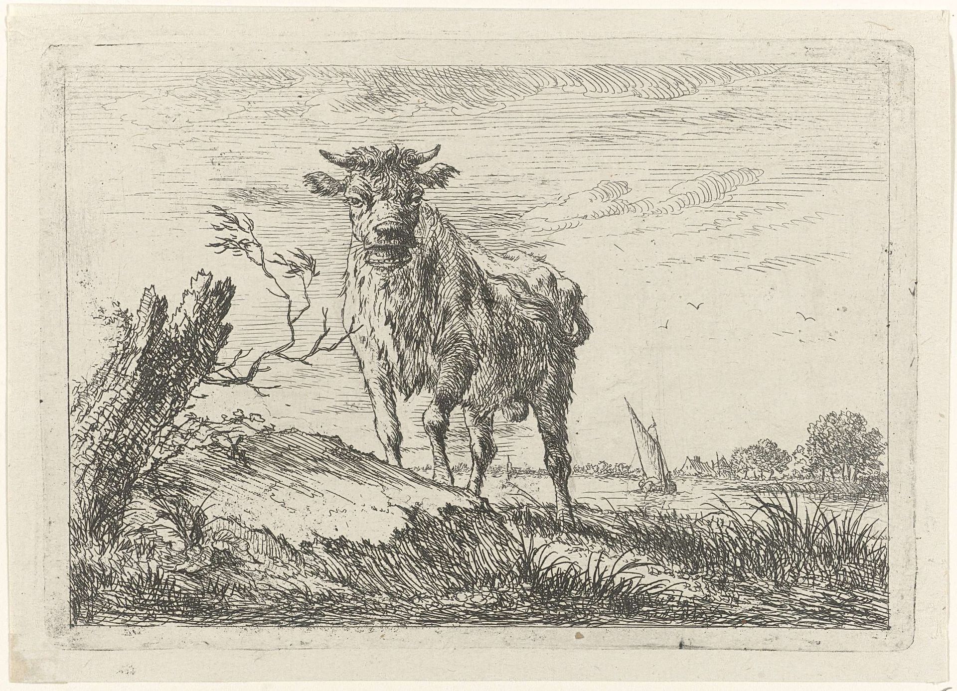 Stier aan rivieroever by Johannes Janson