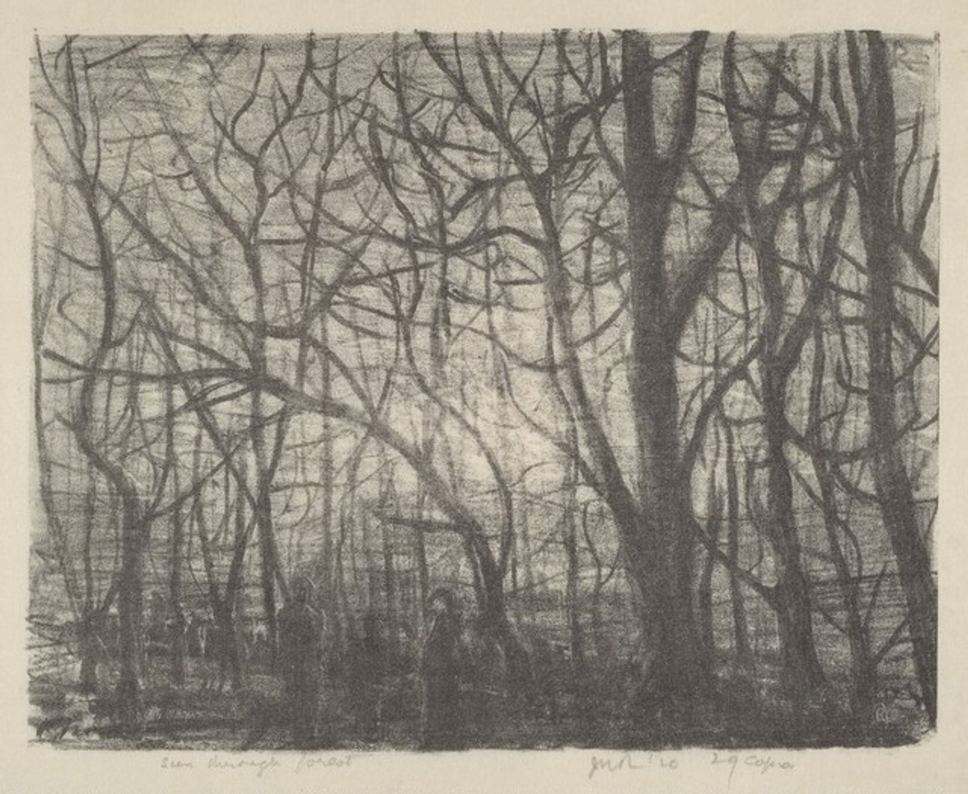 Seen Through Forest by James N. Rosenberg