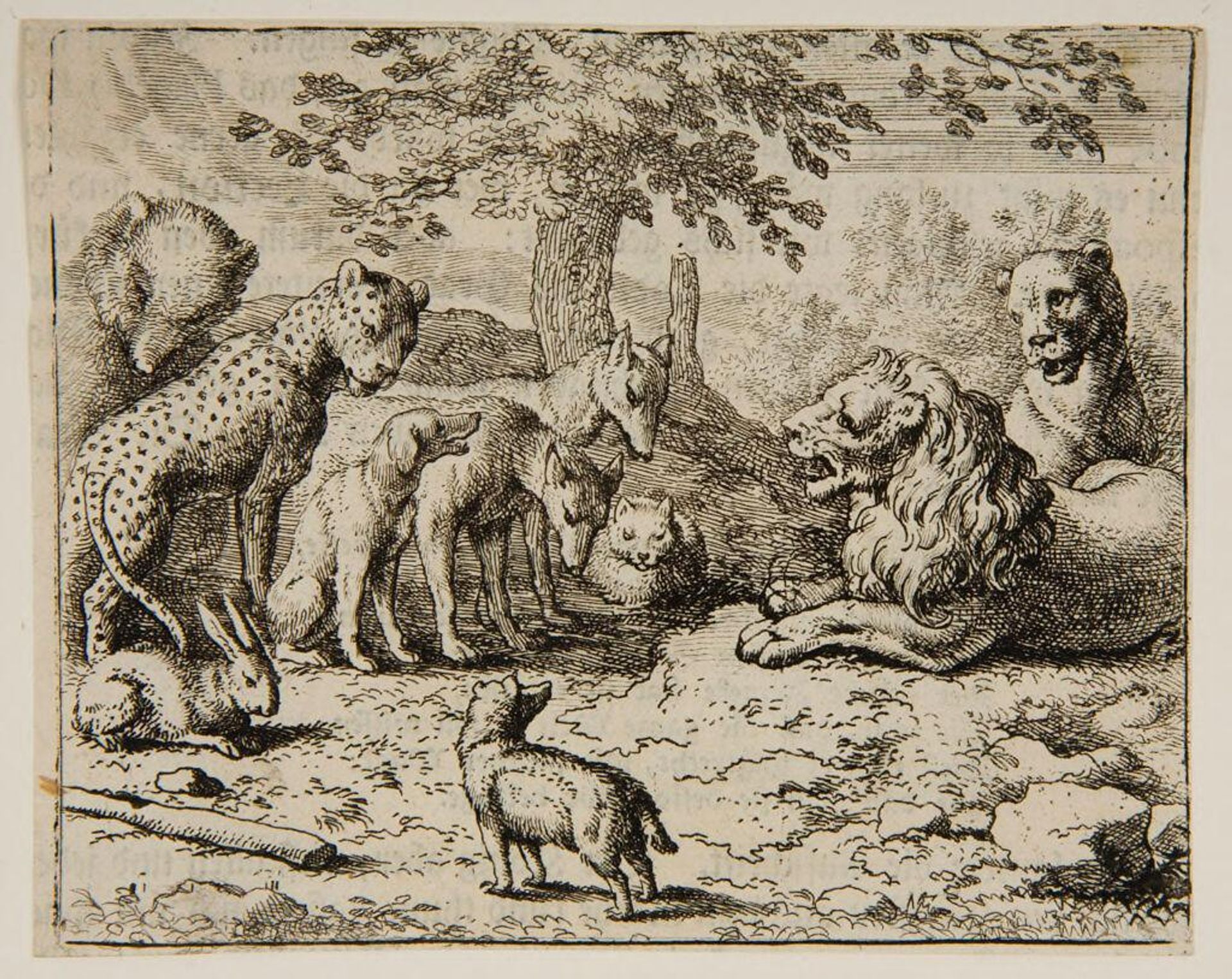 Lion addresses the animals, wolves, cheetah, rabbit, bear by Allart van Everdingen