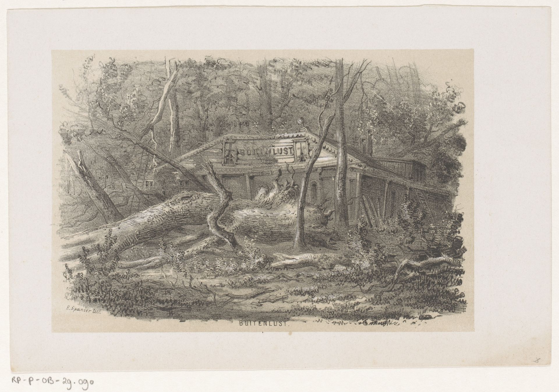 Omgewaaide boom bij Buitenlust, na de storm van 28 mei 1860 by Hendrik Wilhelmus Last