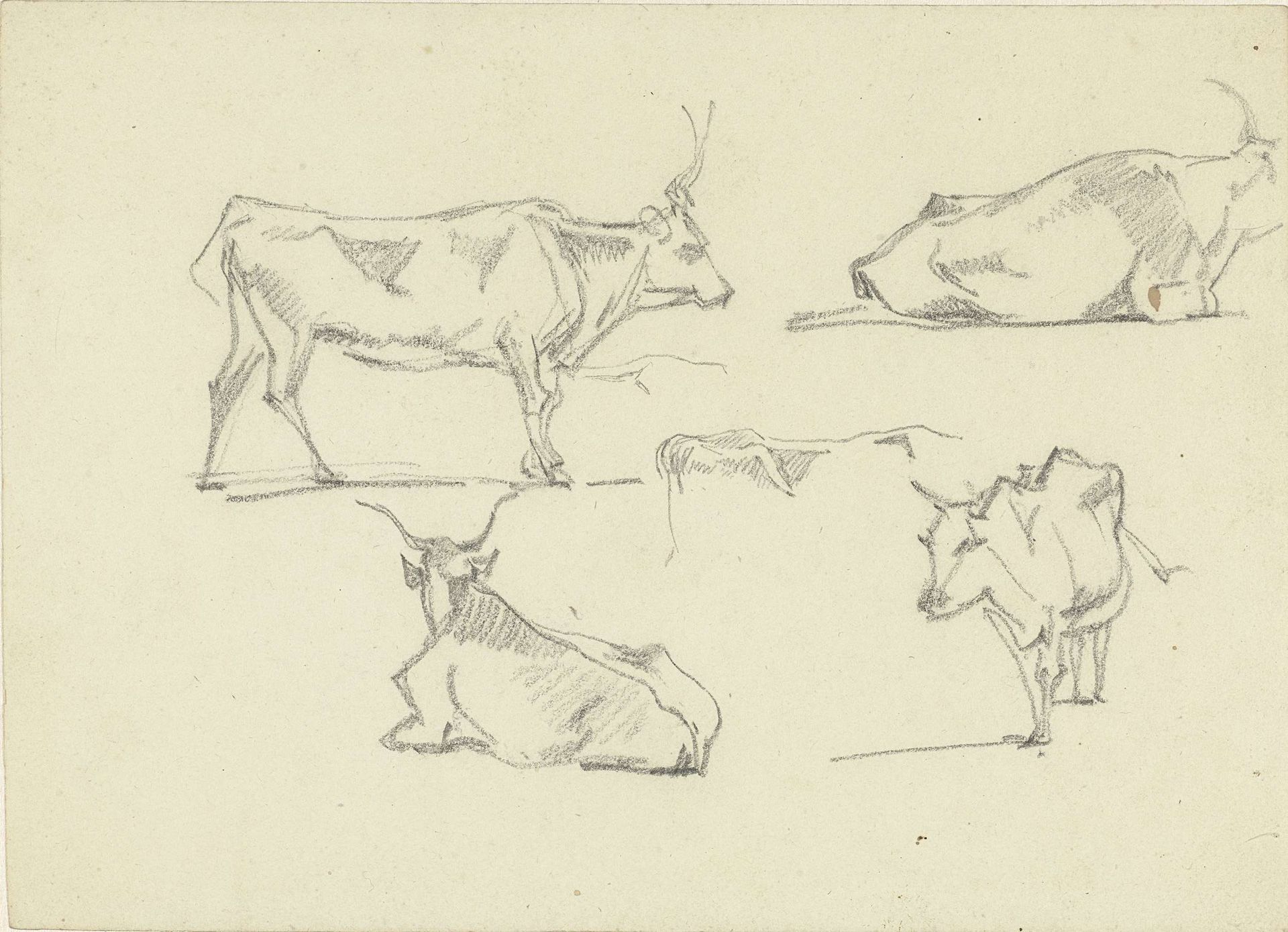 Schetsblad met vijf runderen in verschillende standen by Hendrik Voogd