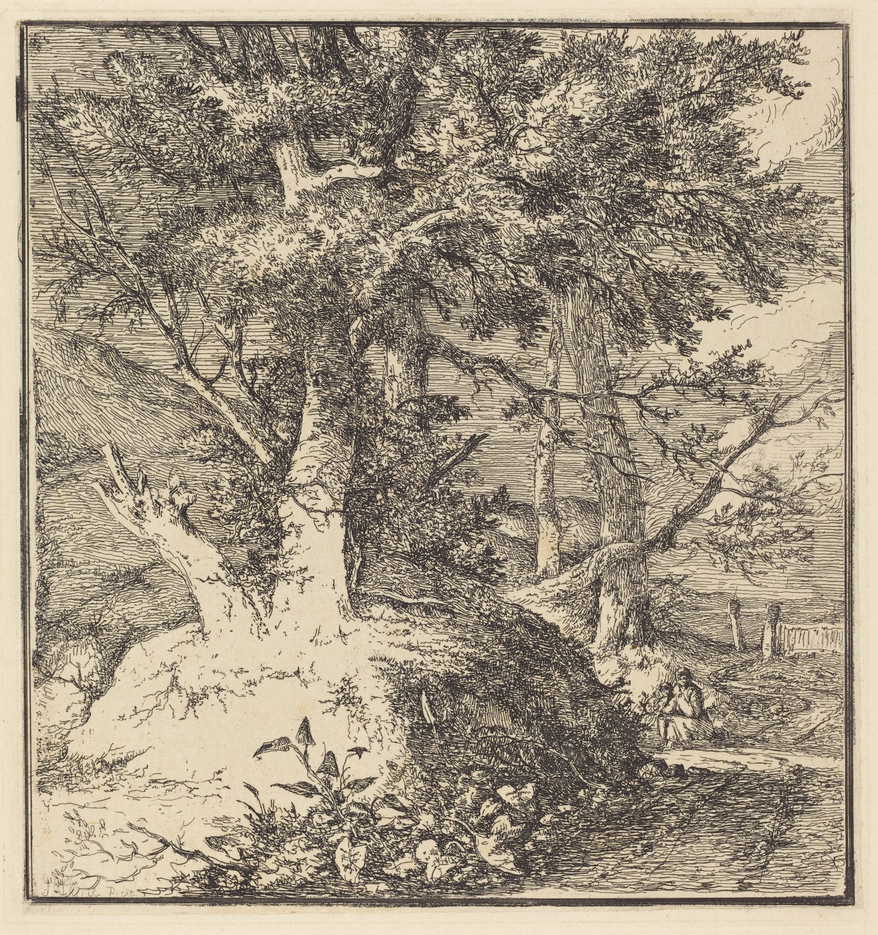 Tree on a Mound by John Crome