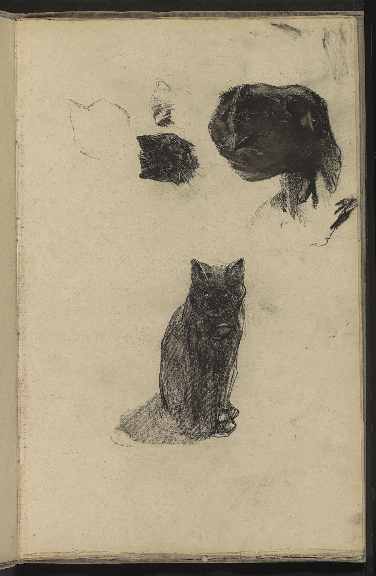 Studies van poes Lola by Willem Witsen