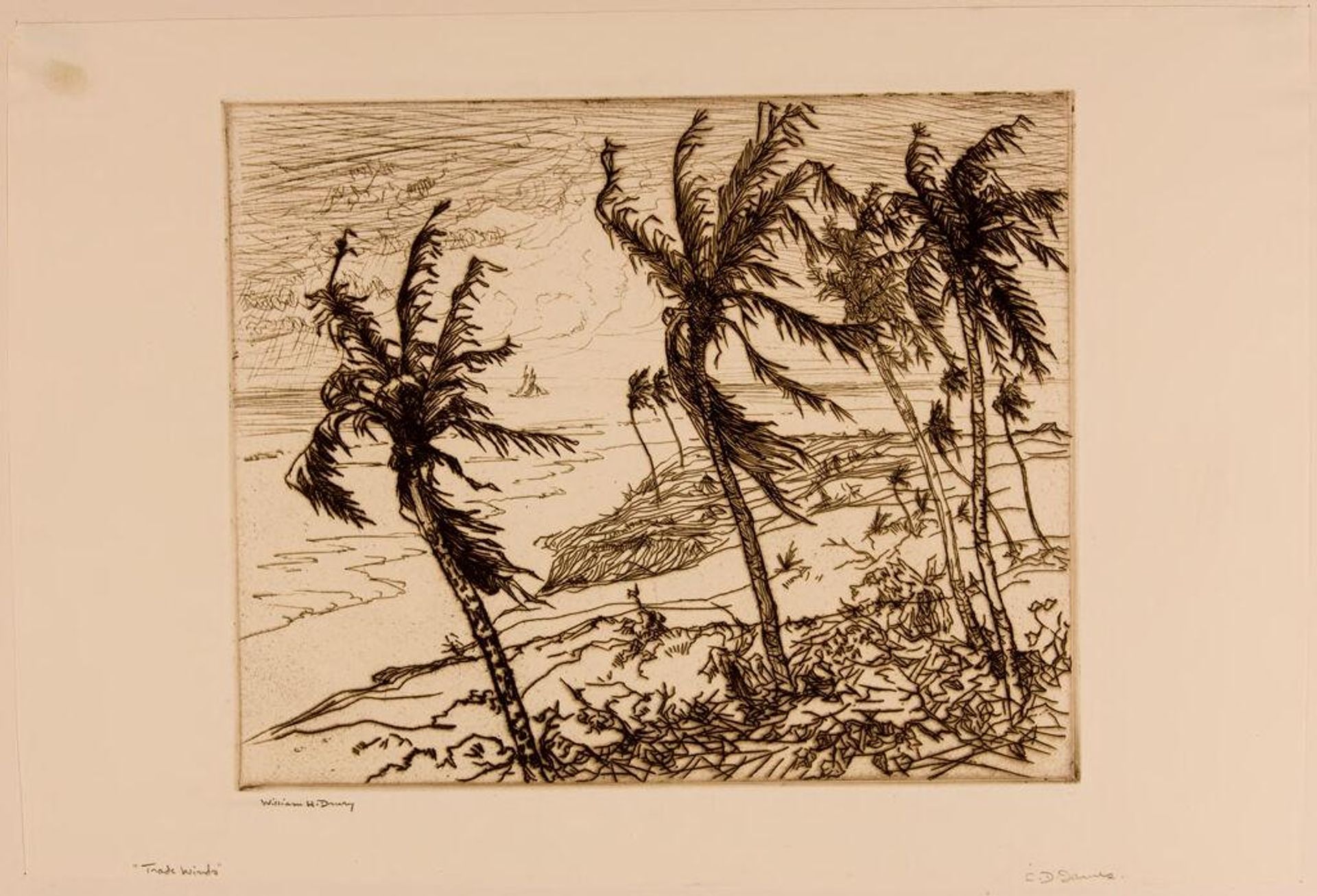 Trade Winds by William H. Drury