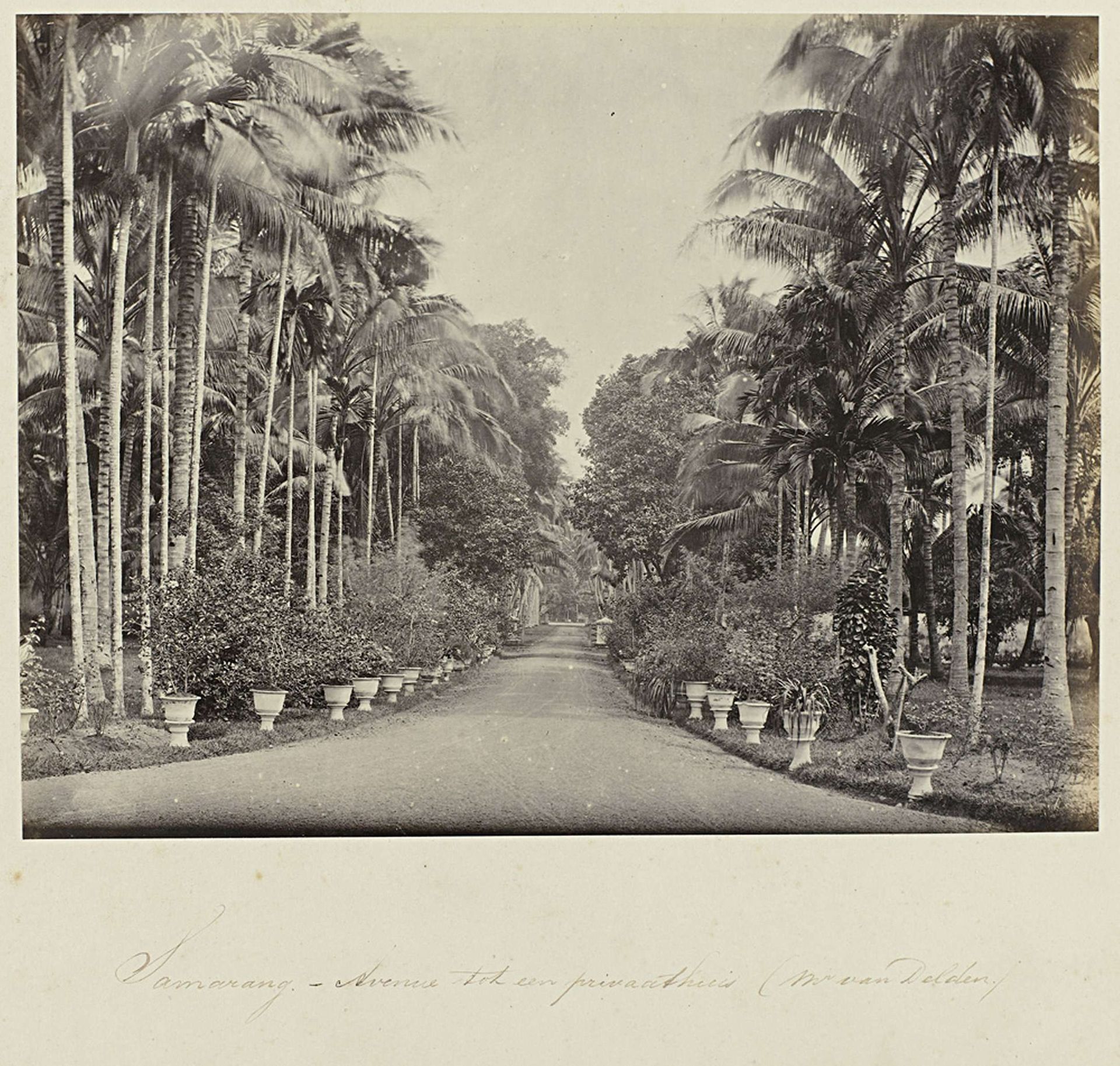 Samarang - Avenue tot een privaathuis (mr. van Delden) by Woodbury & Page