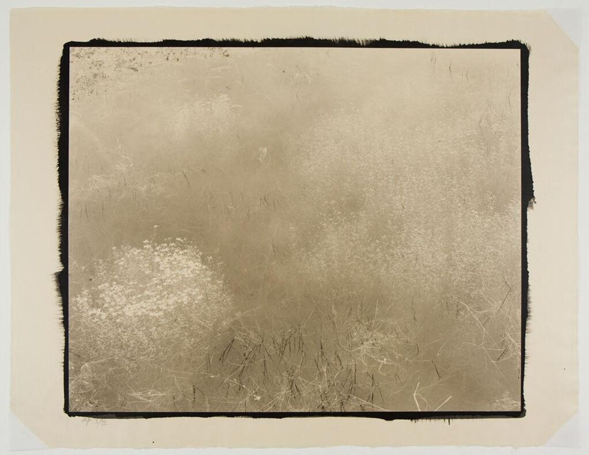 In a Meadow by Koichiro Kurita