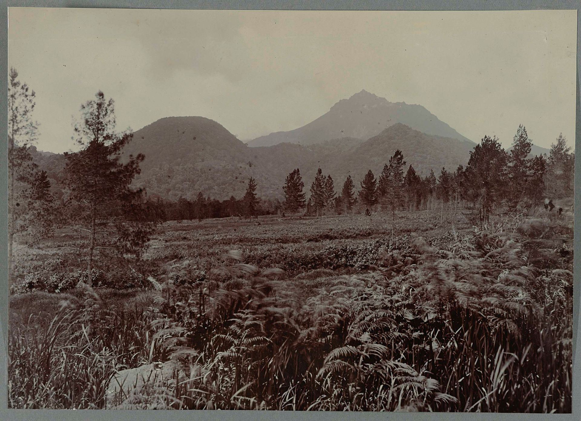 Landschap met bergen by Anonymous