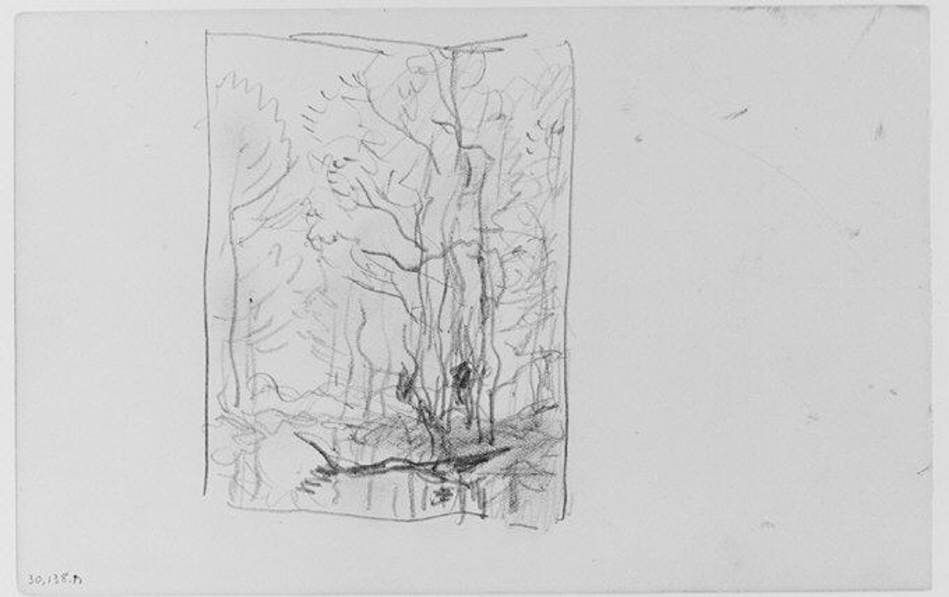 Tree Study (from Sketchbook) by Henry Ward Ranger