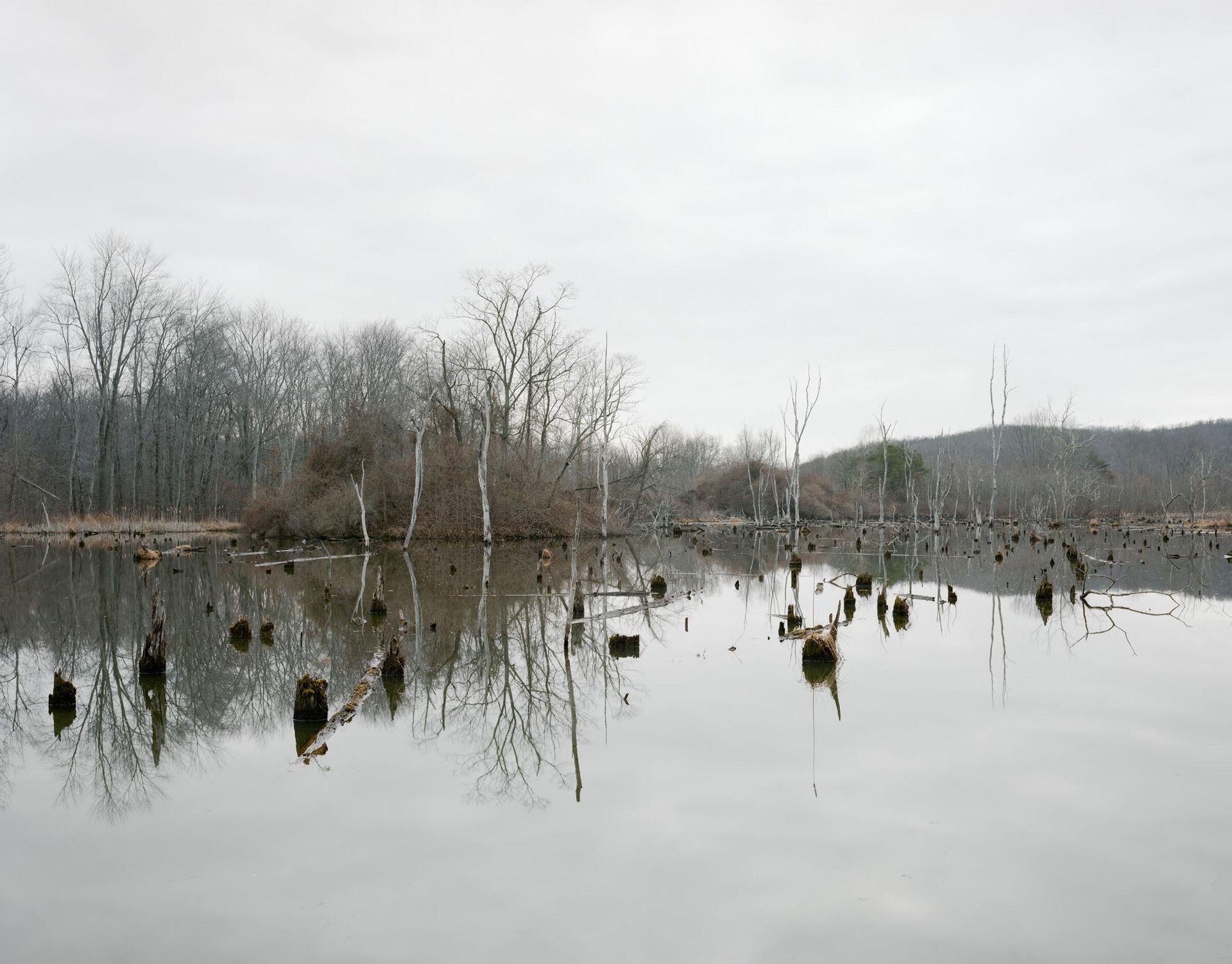 TNT Storage Igloos in Pond, Point Pleasant, West Virginia by Joshua Dudley Greer