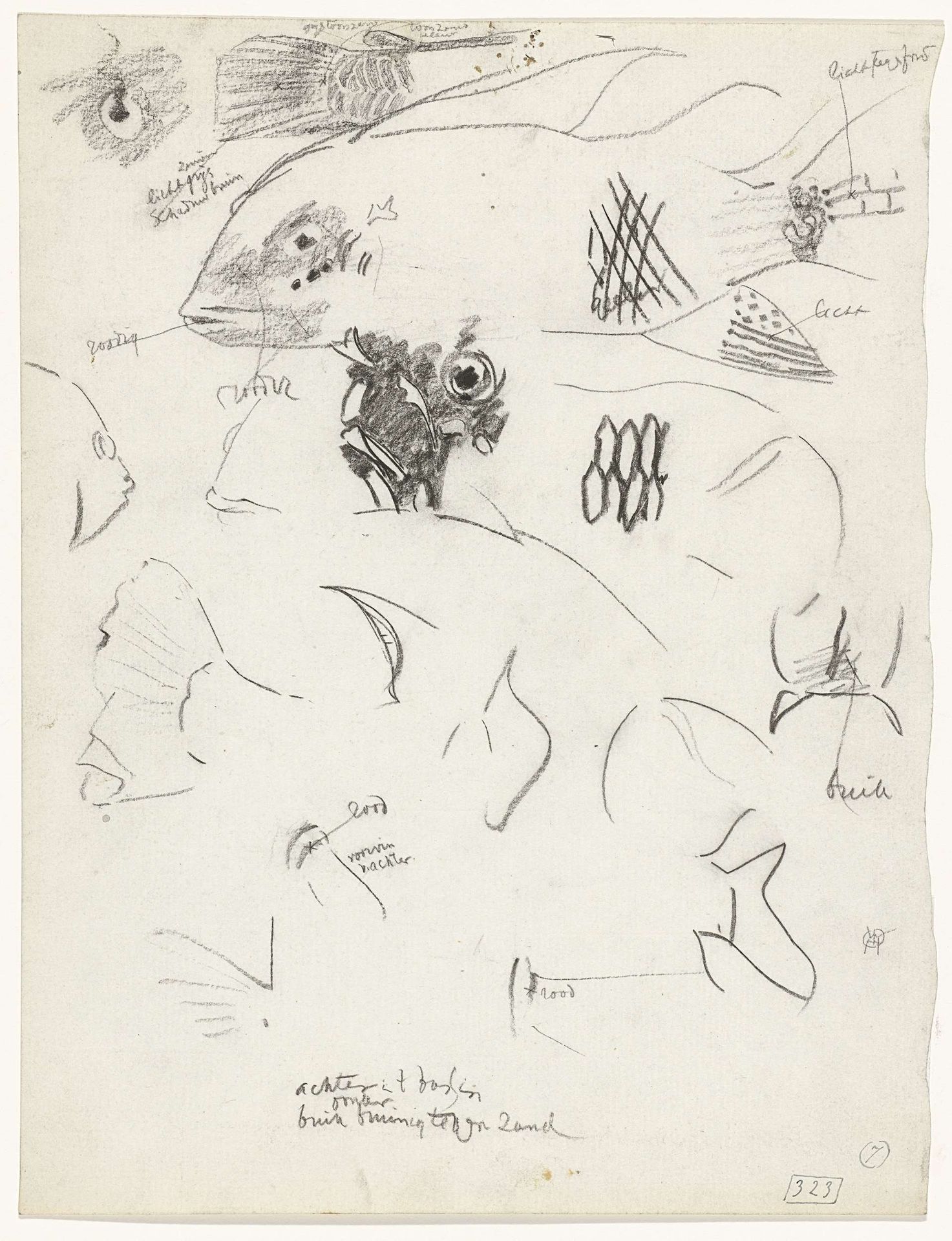 Detailstudies van vissen by Gerrit Willem Dijsselhof