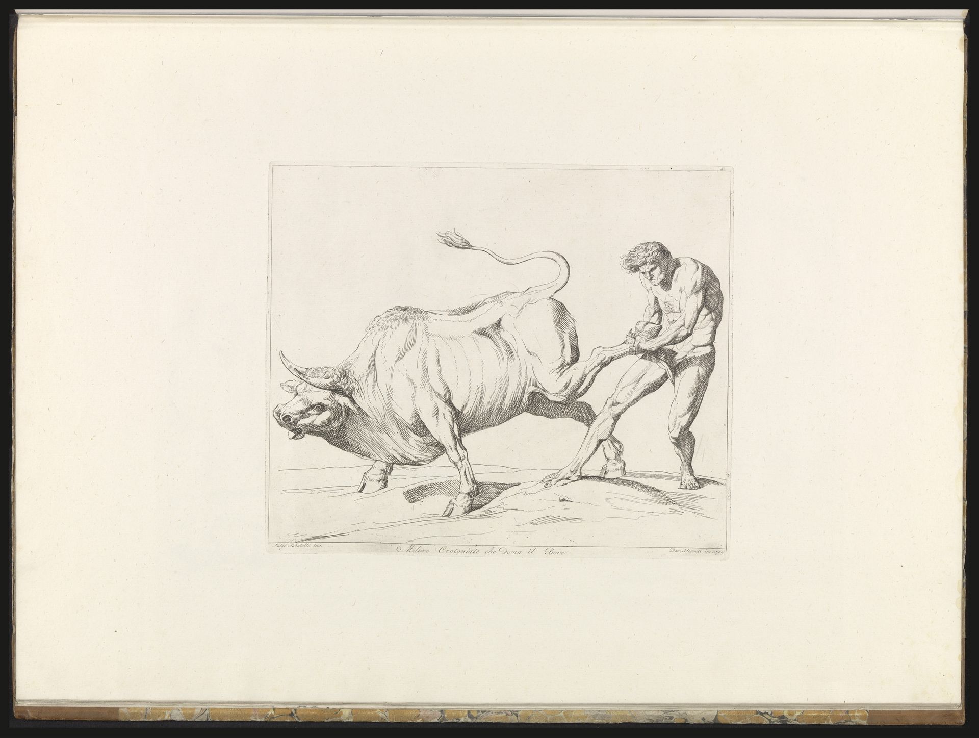 Milo van Croton worstelt met een rund by Damiano Pernati