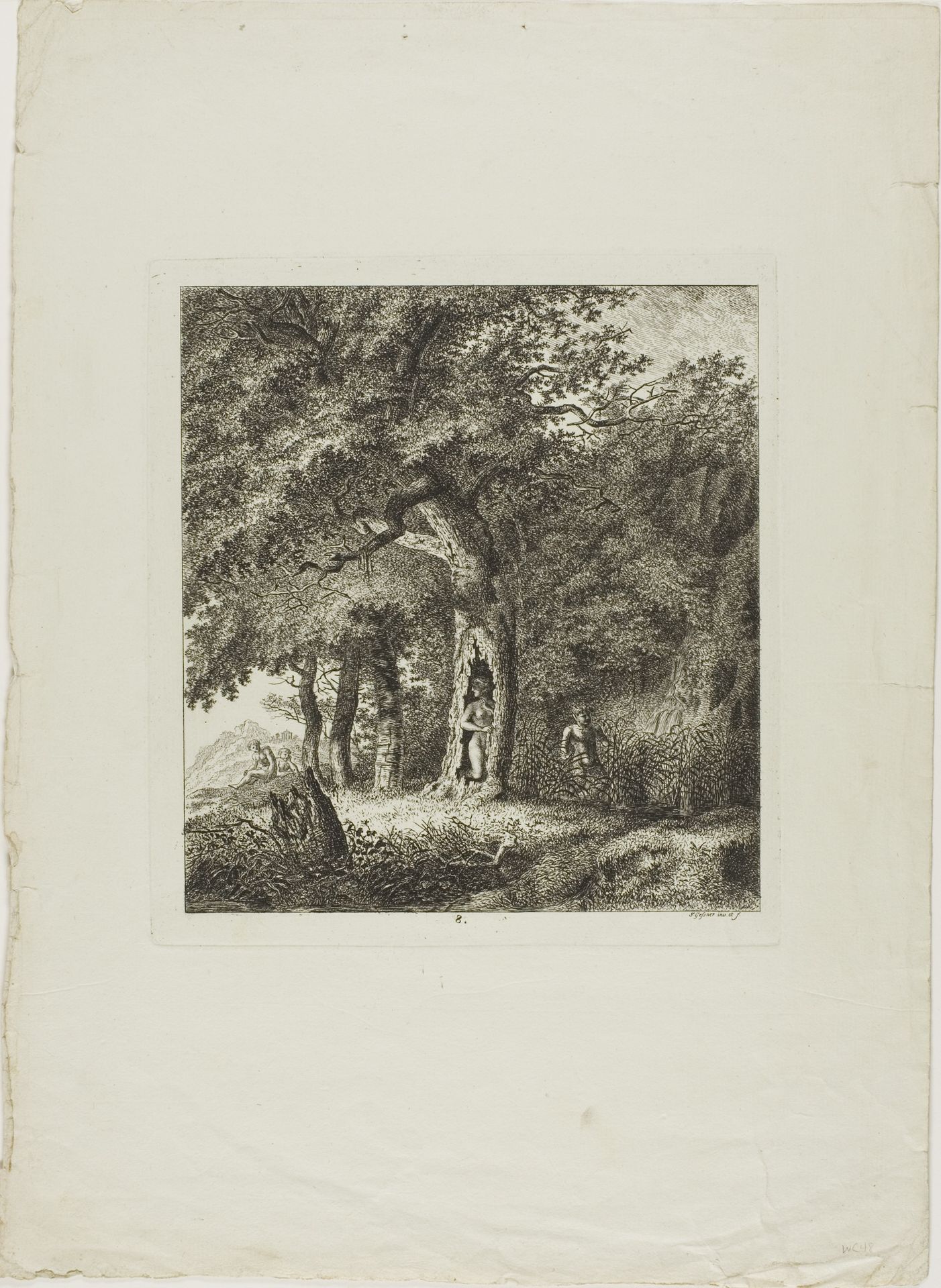 Nymph Hiding in a Tree, plate eight from Paysages Dédiés à M. Warelet by Salomon Gessner