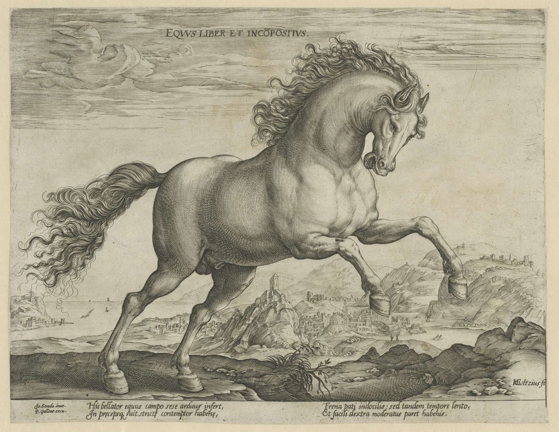 Wild paard by Hendrick Goltzius