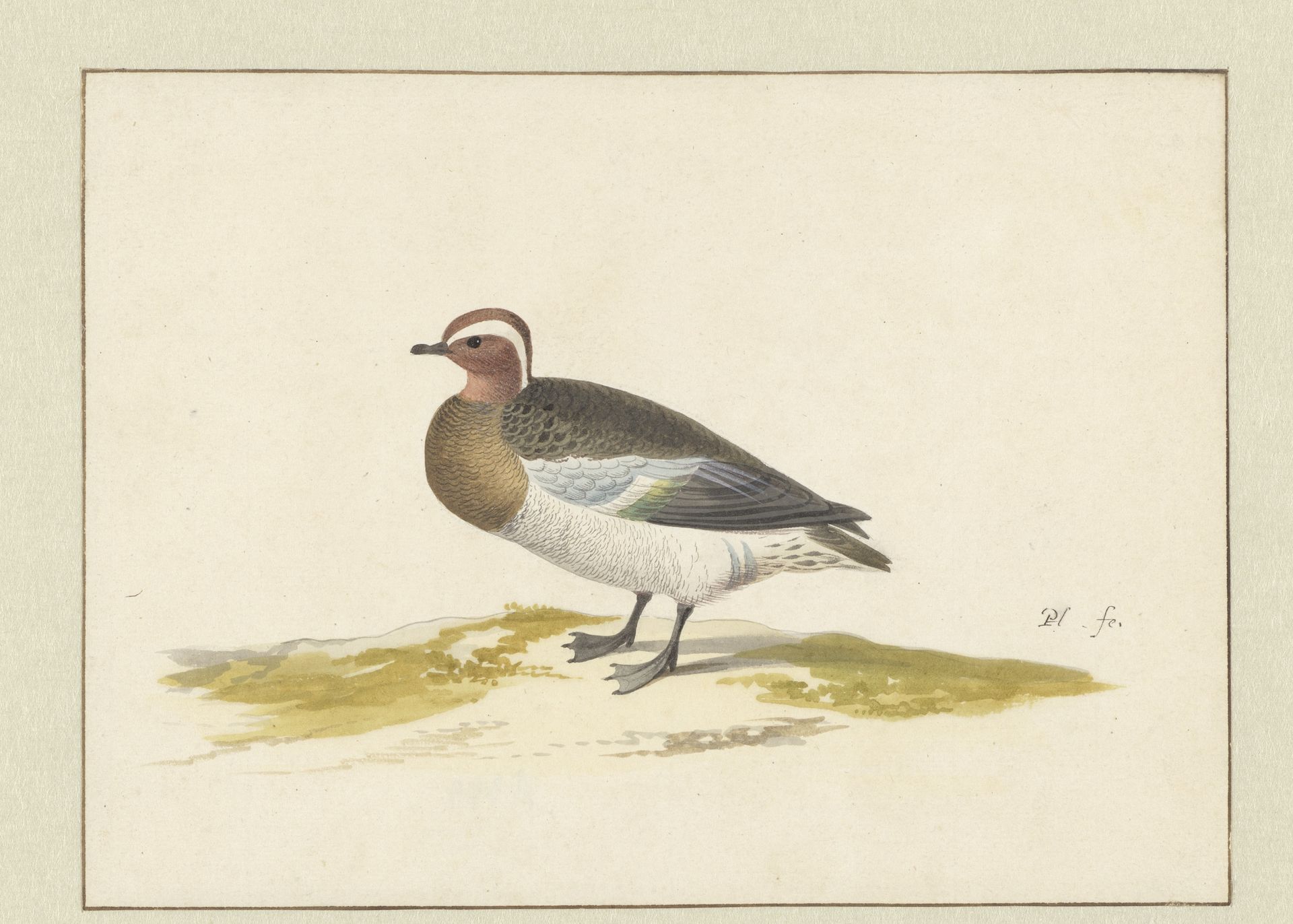 Zomertaling by Pieter (I) Holsteyn