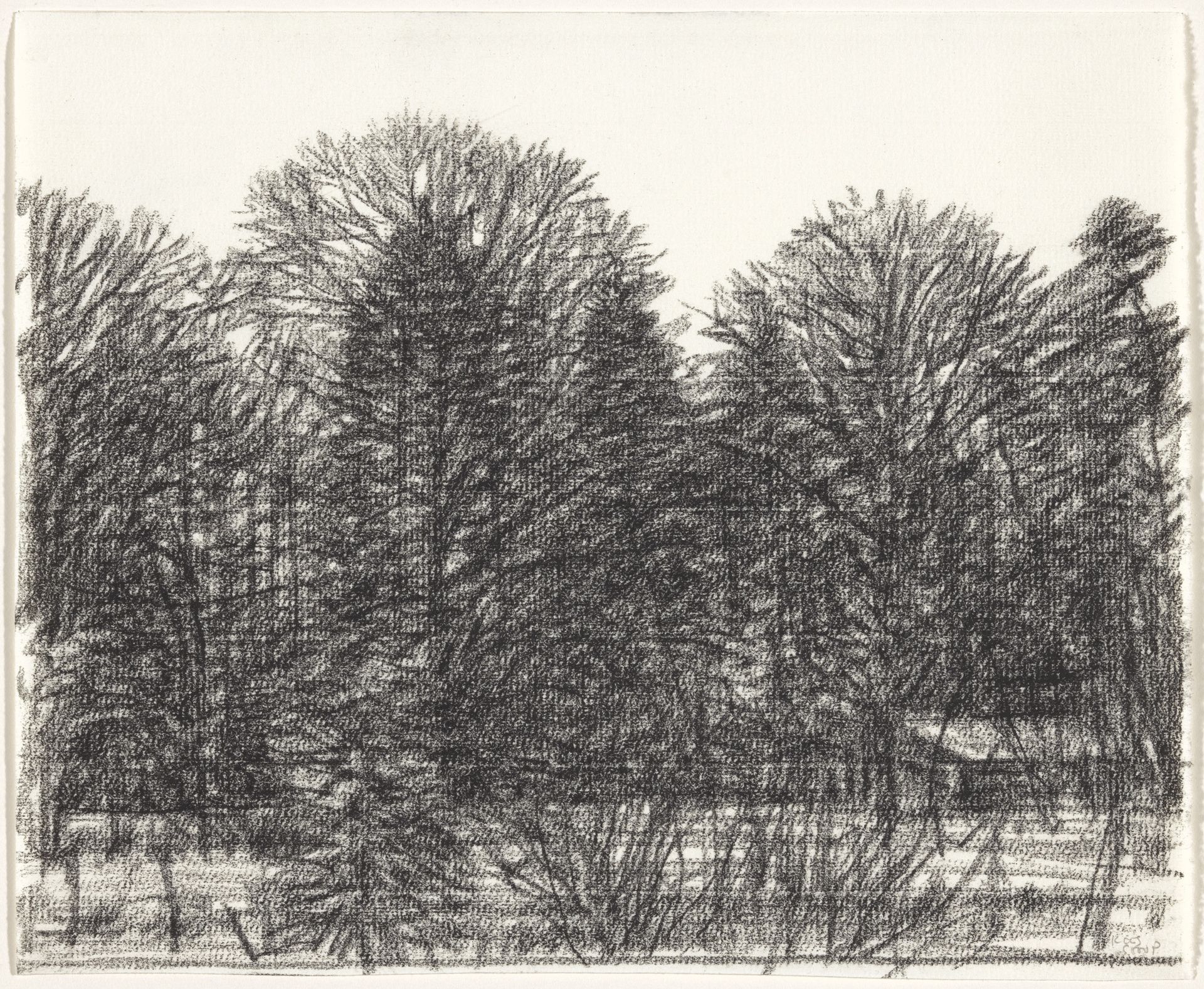 Bomen by Kees Stoop