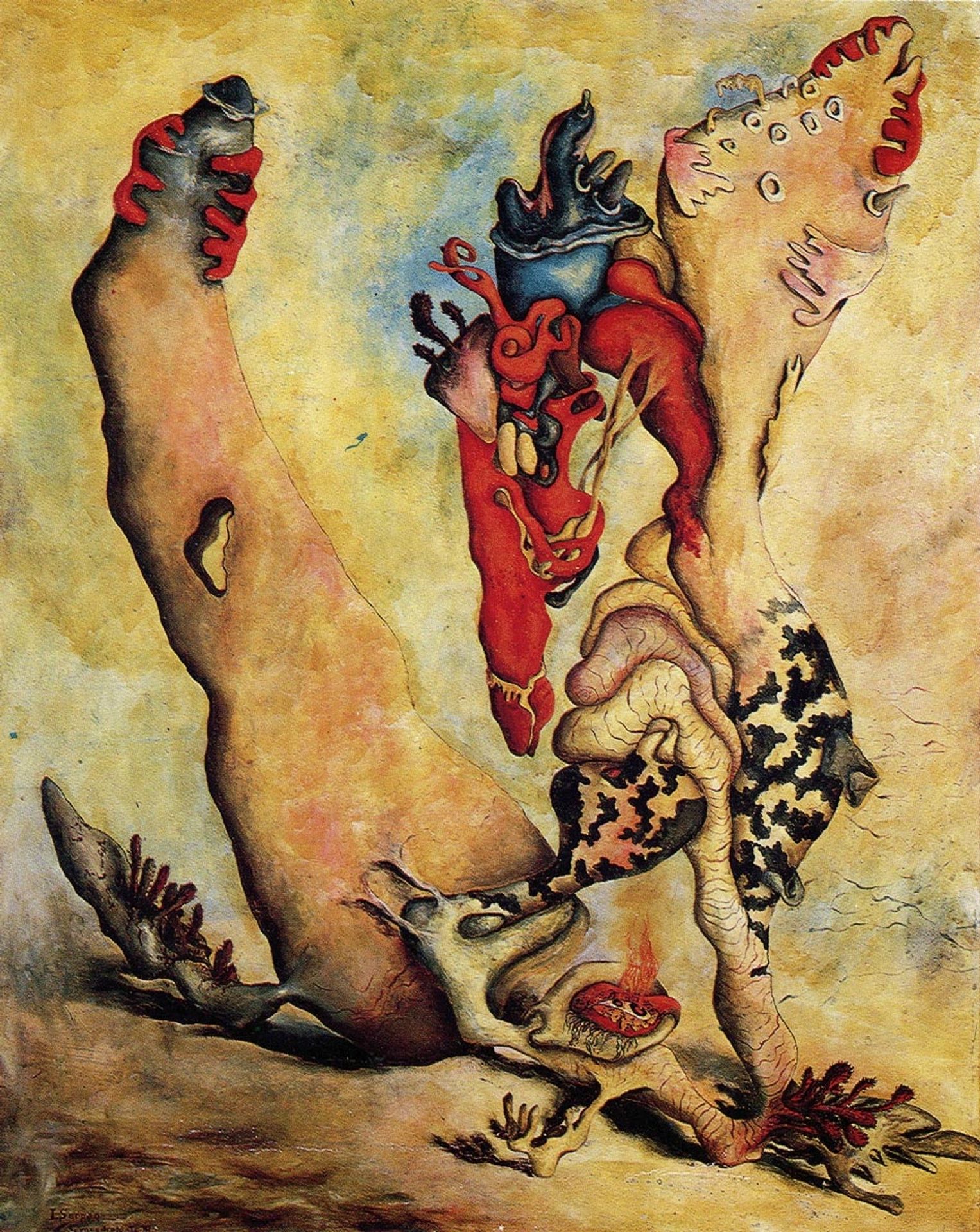 Gynandrologie by Jaroslav Serpan