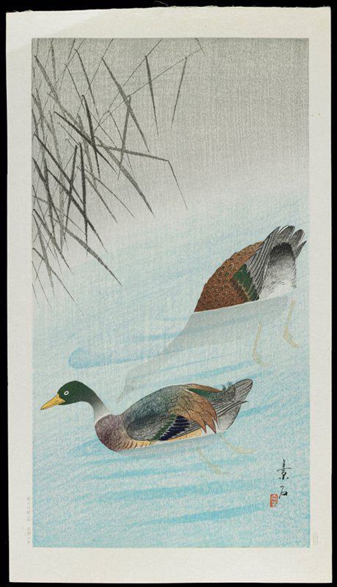 Ducks in Water by Komori Soseki