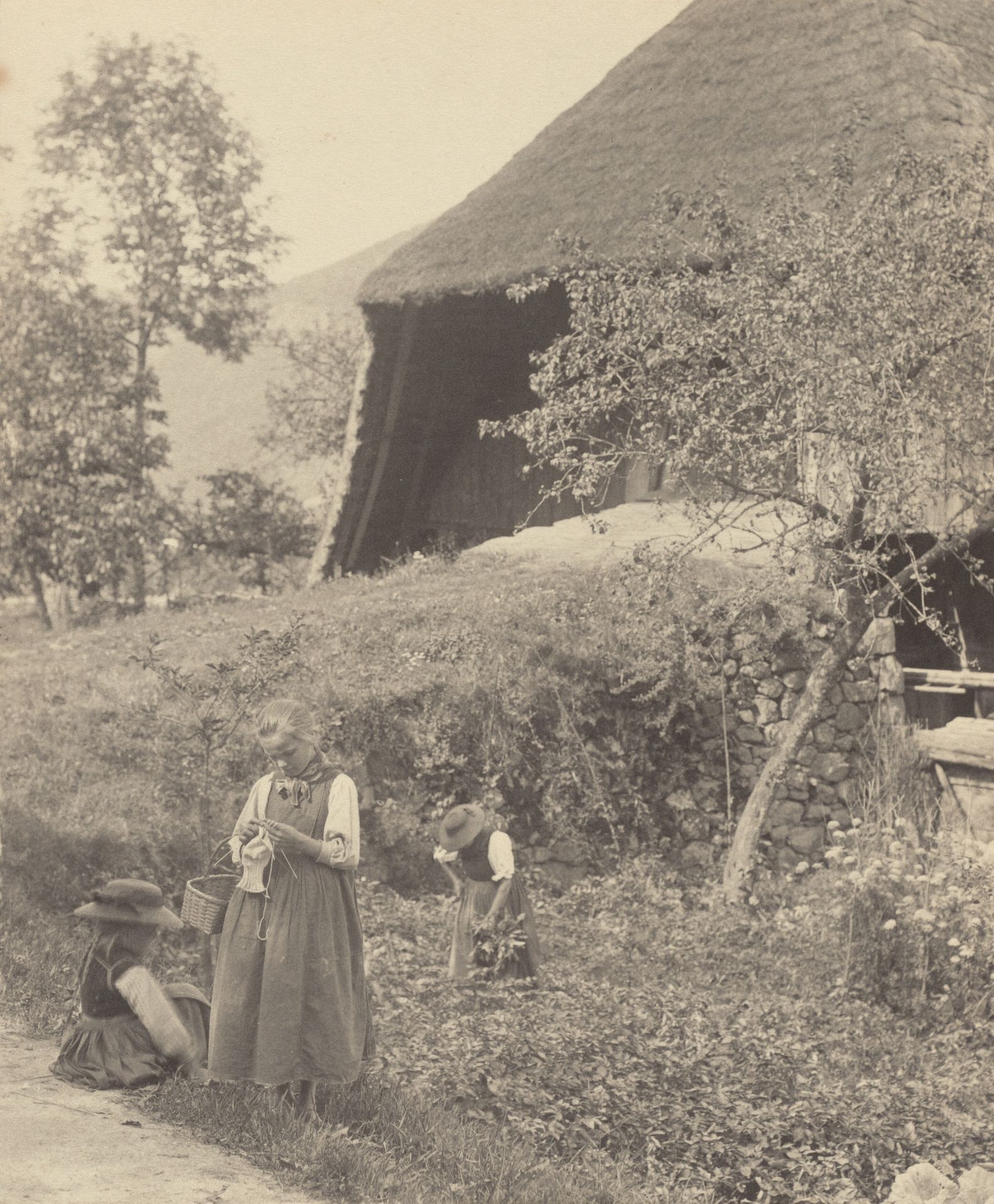 A Bit of Gutach by Alfred Stieglitz