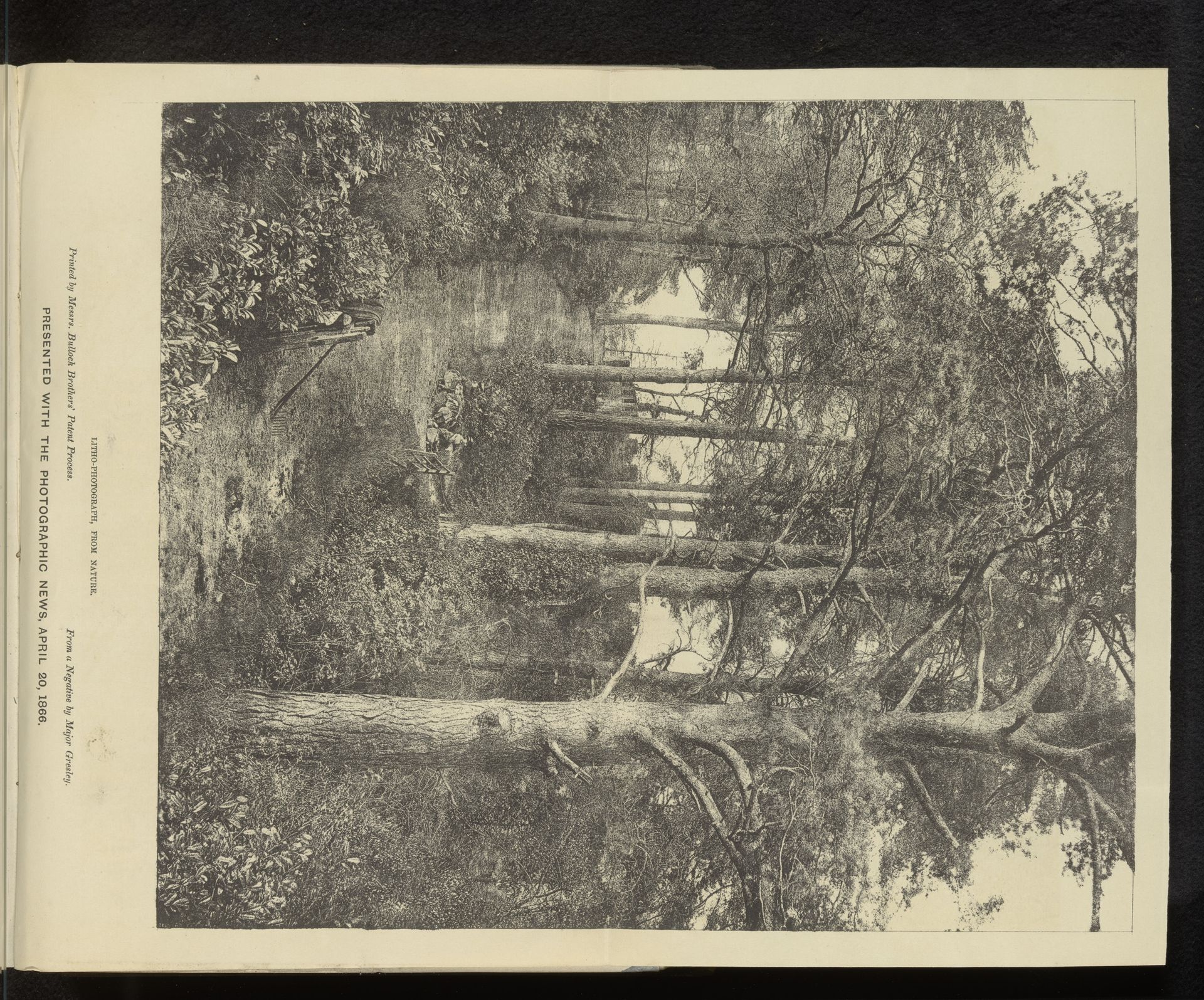 Gezicht op een bospad by Major Francis Gresley