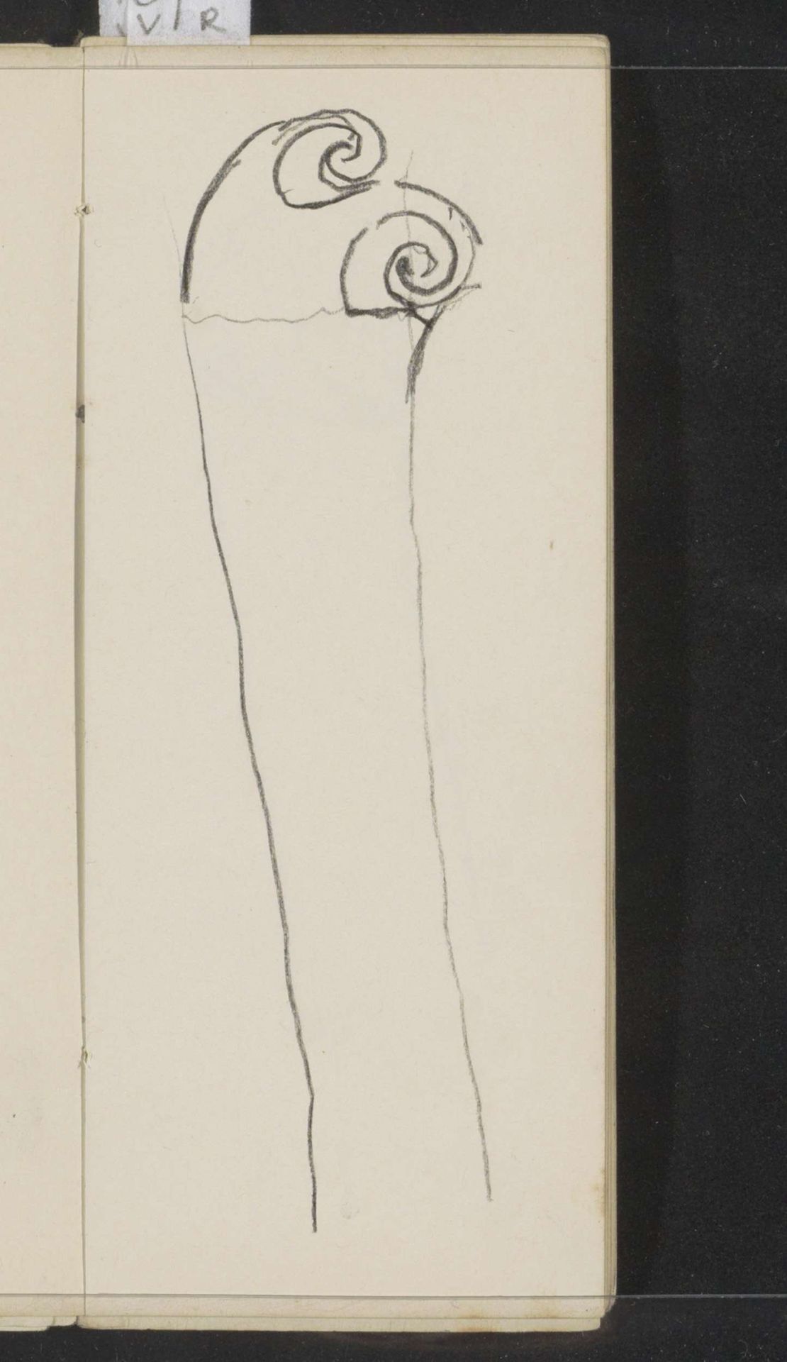 Ornament met rolwerk by Gerrit Willem Dijsselhof