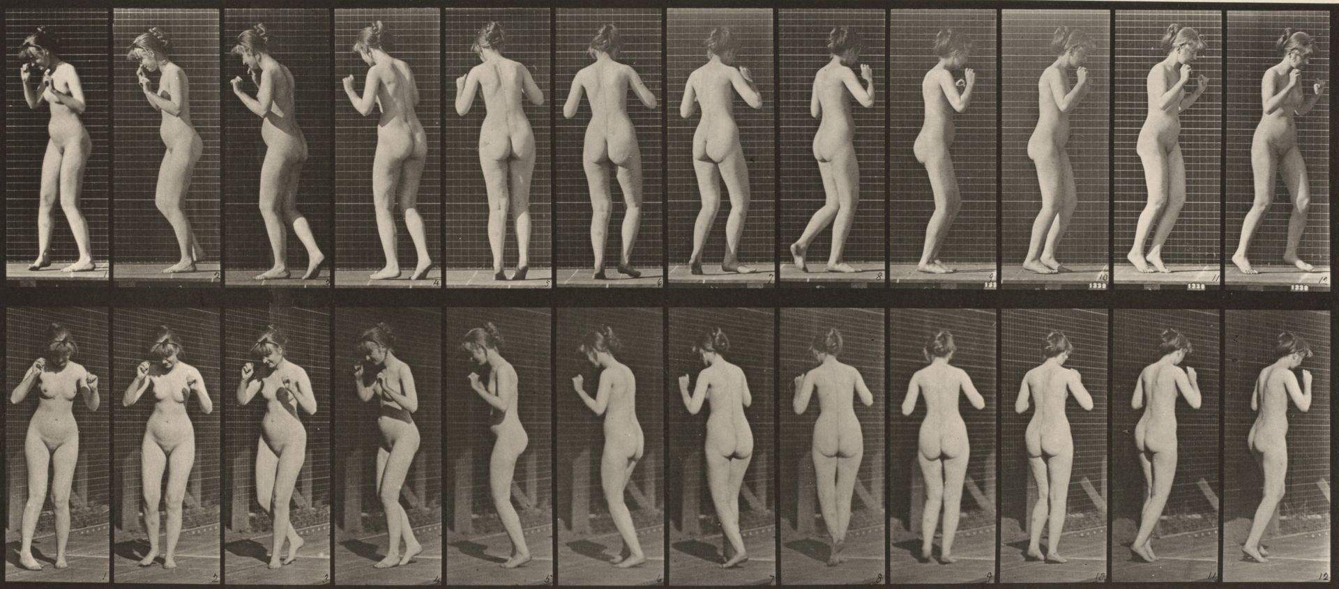 Plate Number 195. Dancing a waltz by Eadweard Muybridge
