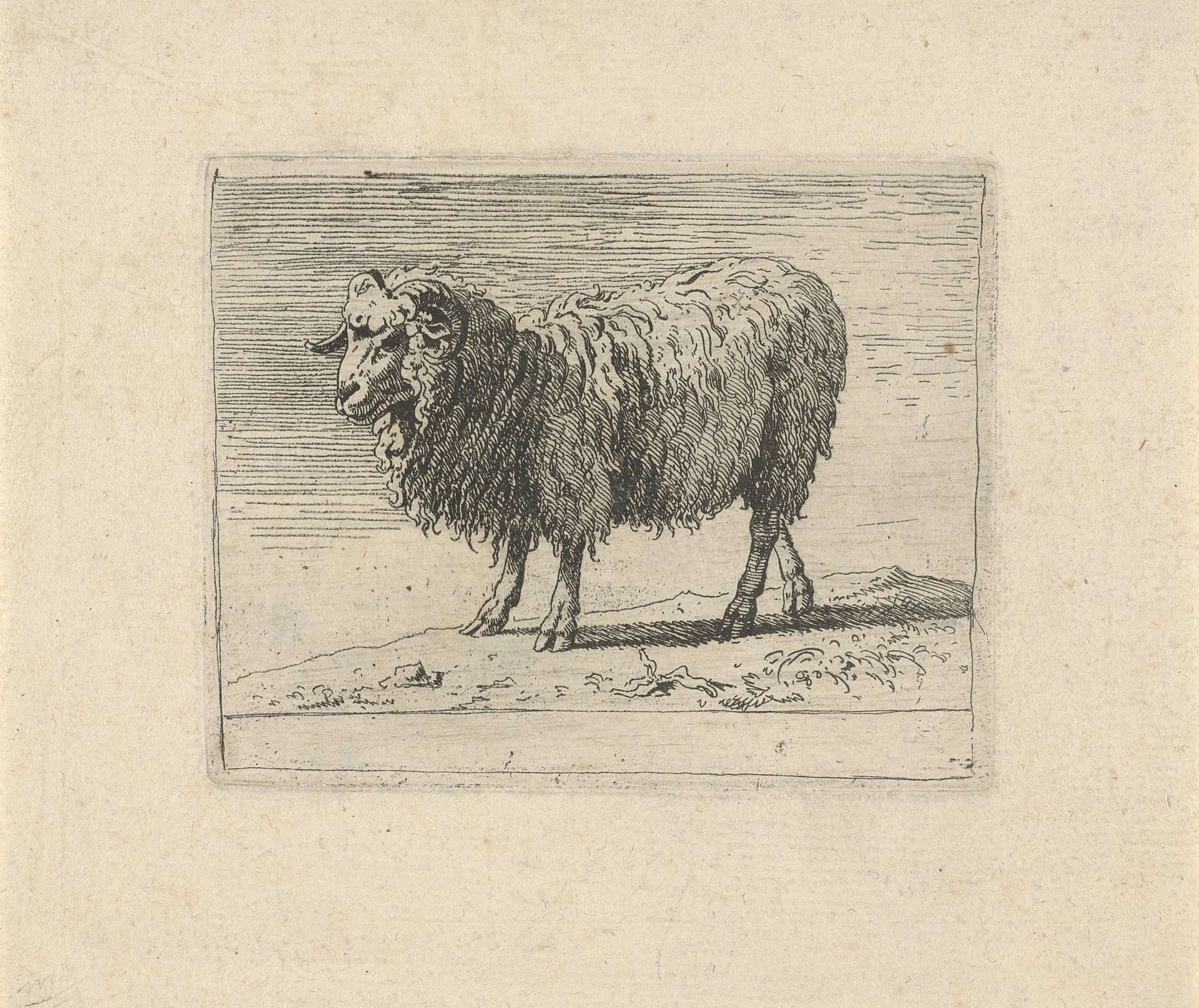 Ram by Govert van der Leeuw