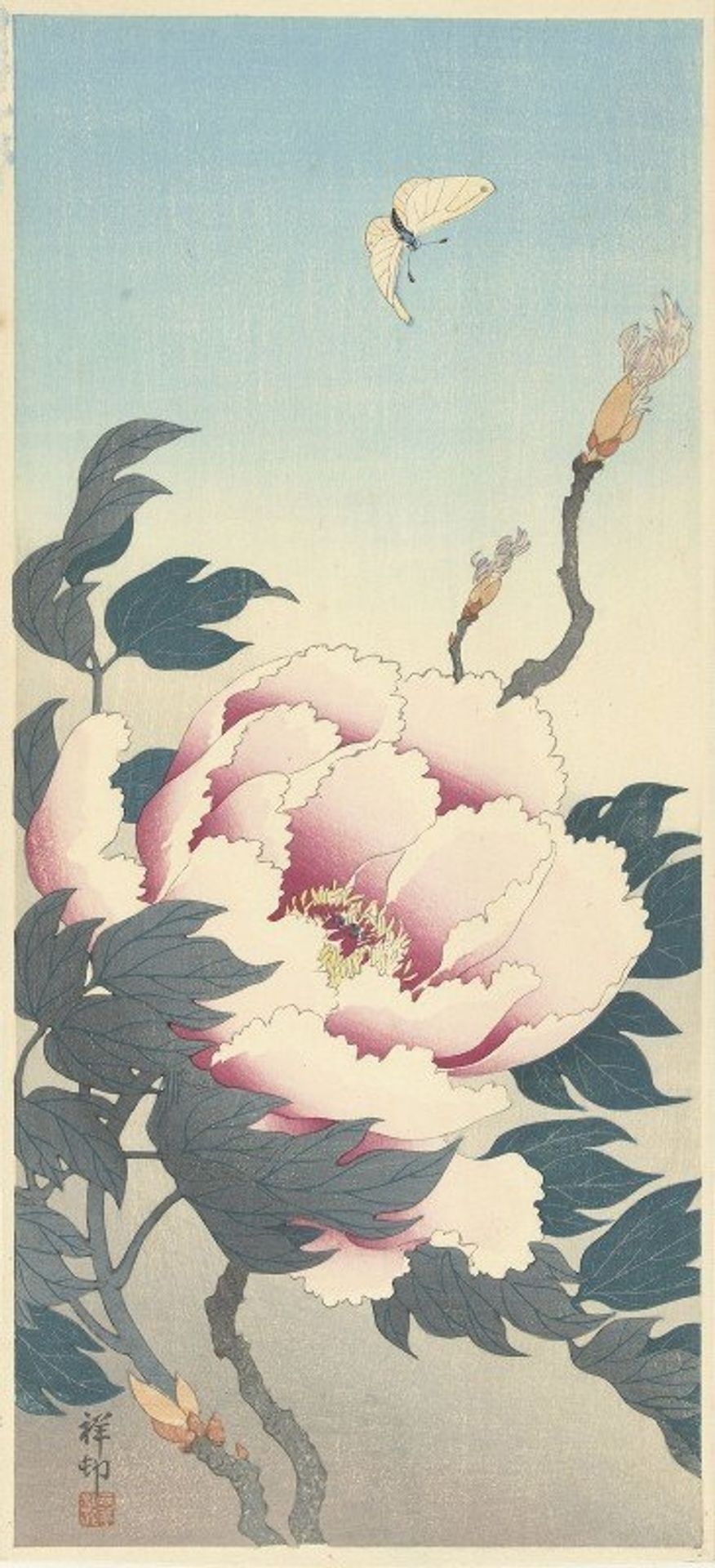 Peony with butterfly by Ohara Koson