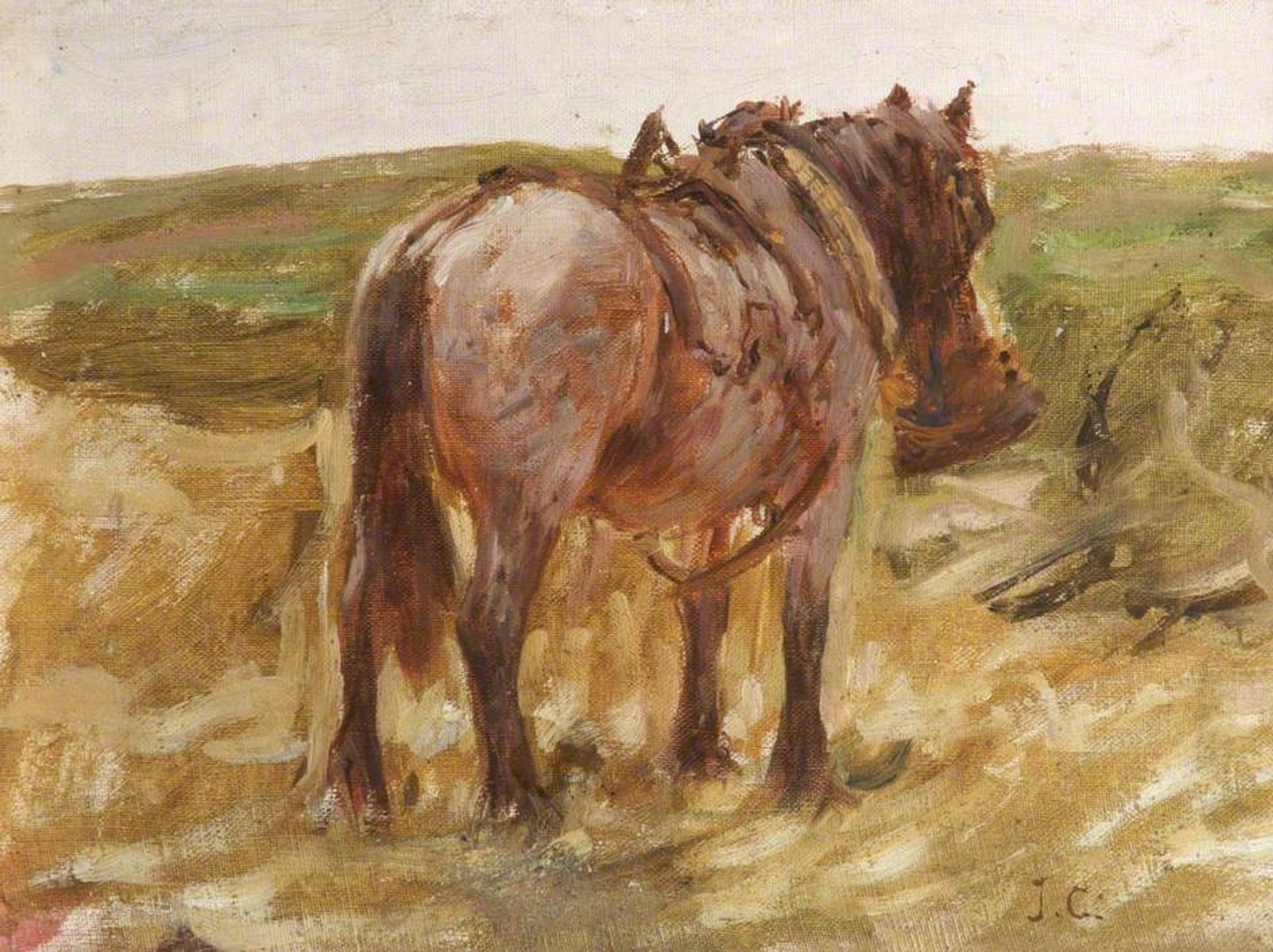 Horse by James Charles