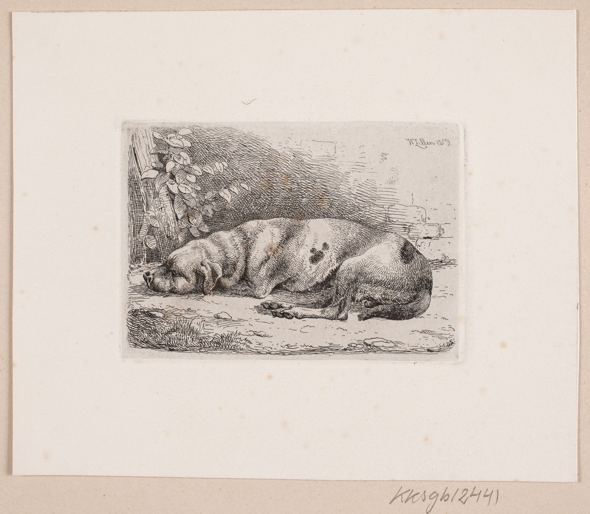 En sovende hund by Johannes Wilhelm Zillen