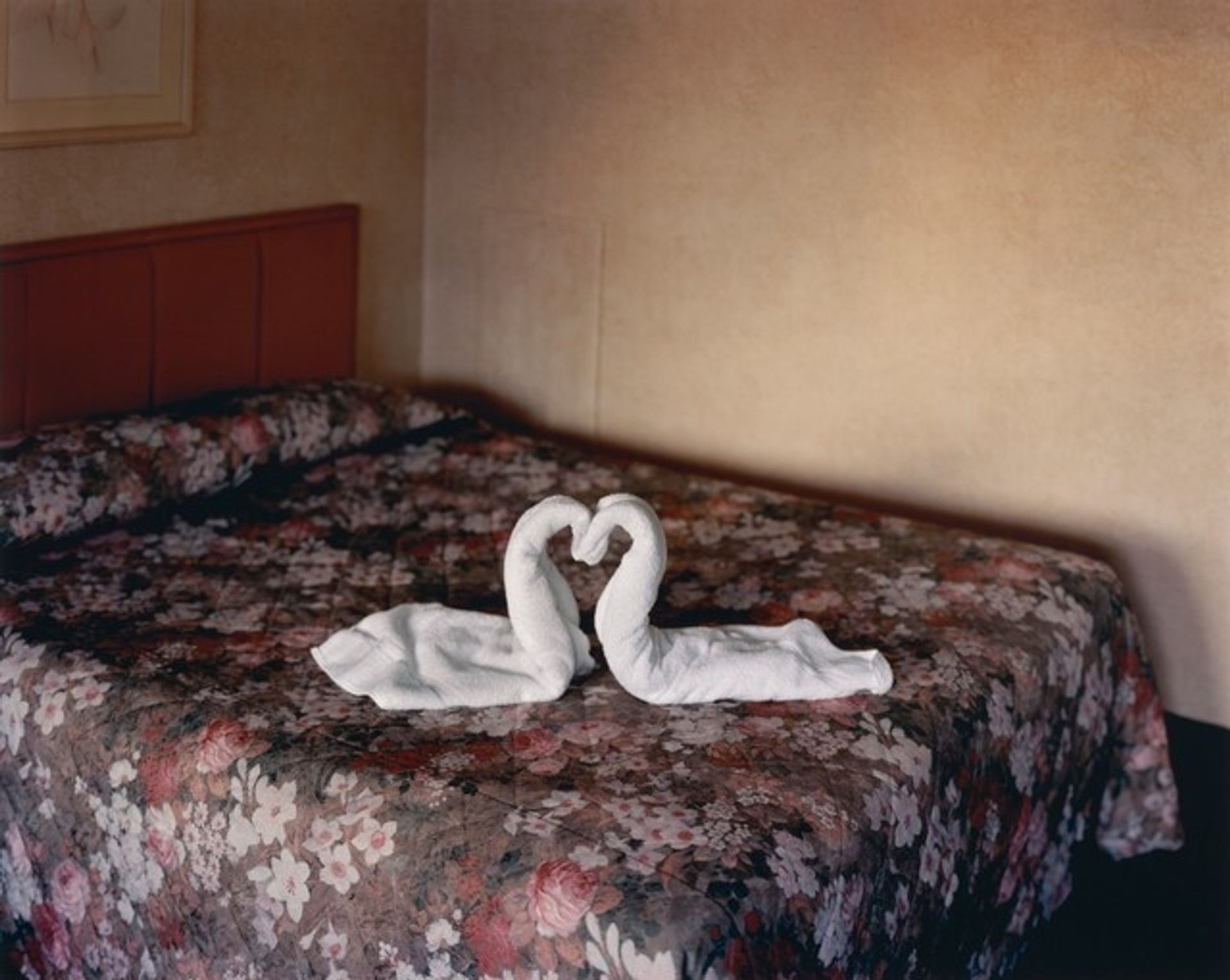 Two Towels by Alec Soth