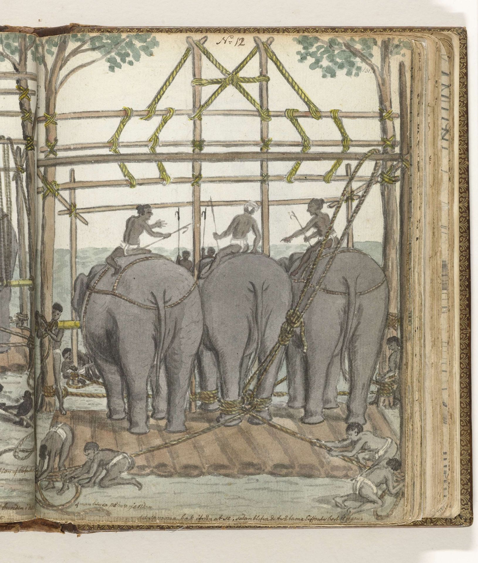 Taming a Wild Elephant in the Temporary Stable, rear view by Jan Brandes