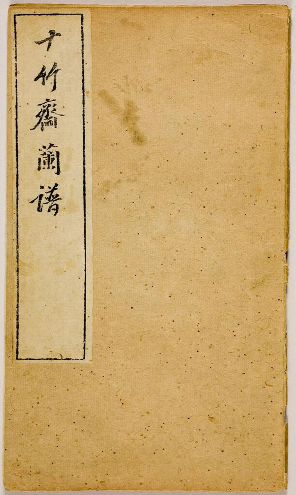 "Orchids" Volume of the Ten Bamboo Studio Manual of Calligraphy and Painting (Shizhuzhai shuhua pu) by Hu Zhengyan