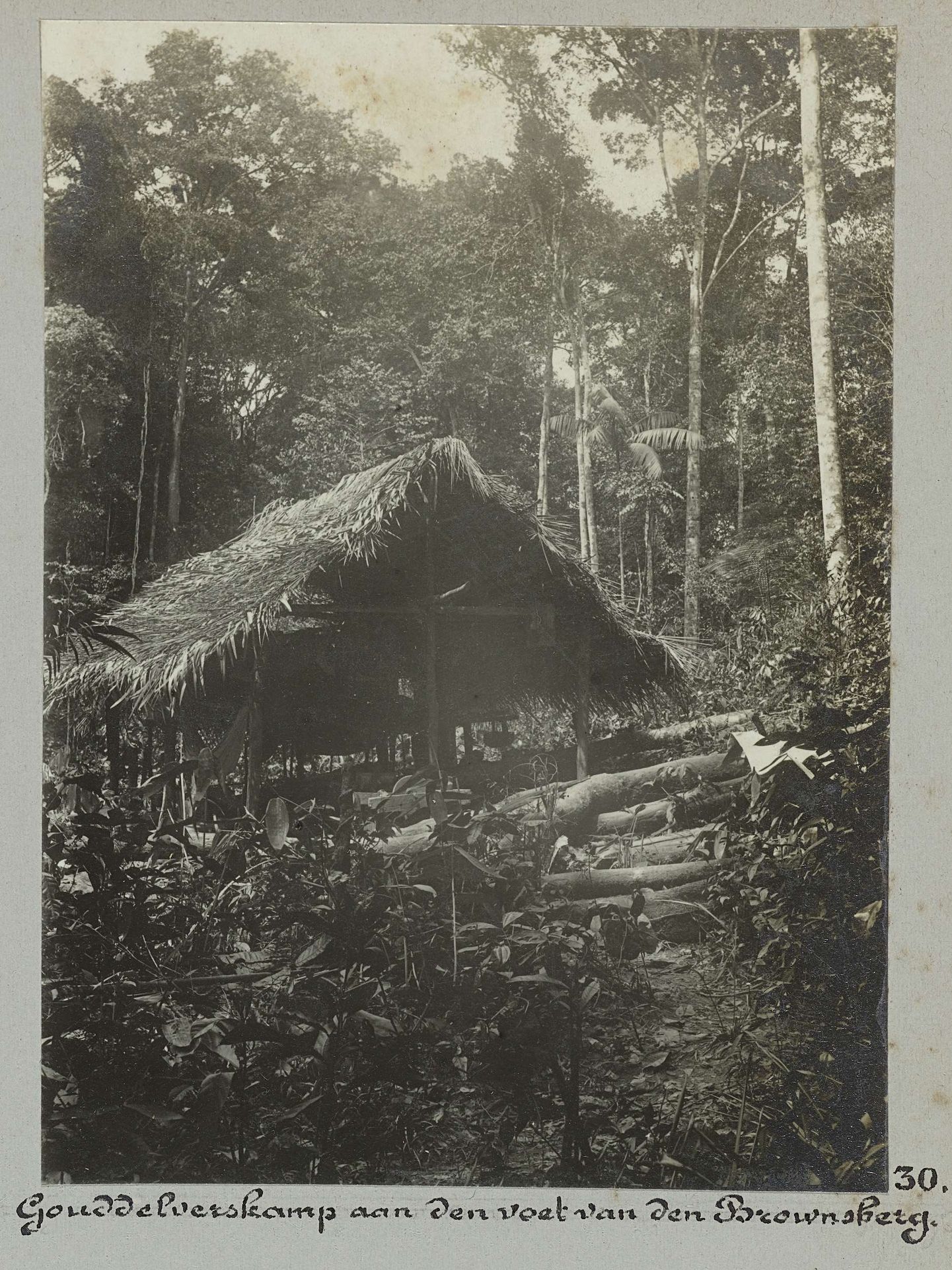 Gouddelverskamp aan den voet van den Brownsberg by Hendrik Doijer