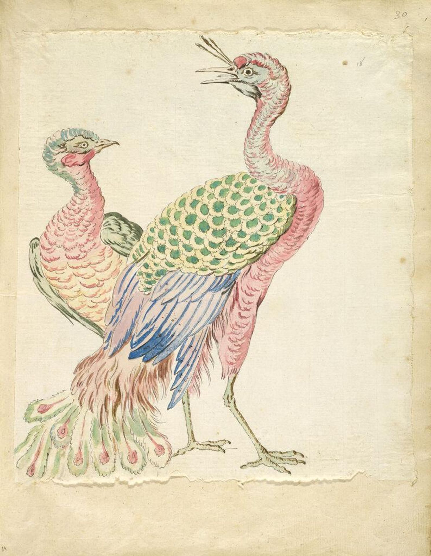 Two Peacocks; verso: blank by Jean-Baptiste Oudry