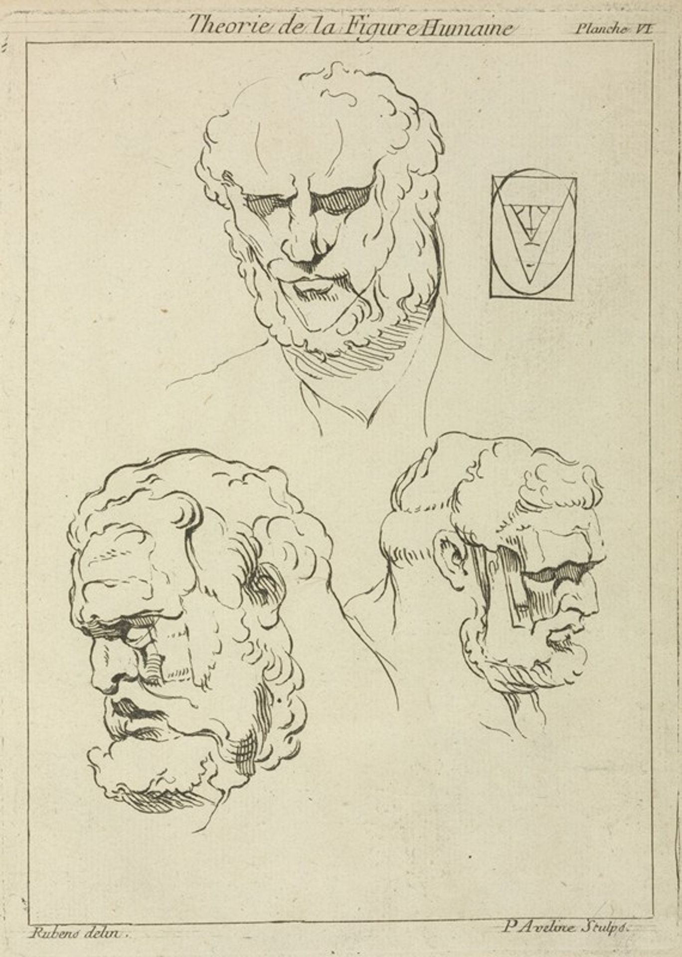 Three studies of a man’s head and beard by Peter Paul Rubens