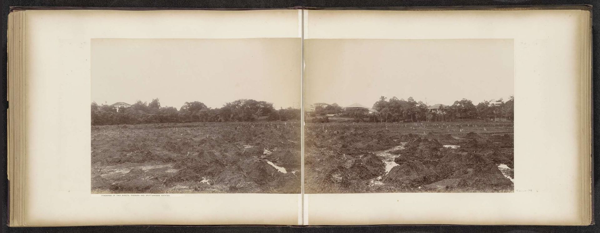 Velden behorend bij de Raeburn en Spottiswoode Estates in Singapore by G.R. Lambert & Co.