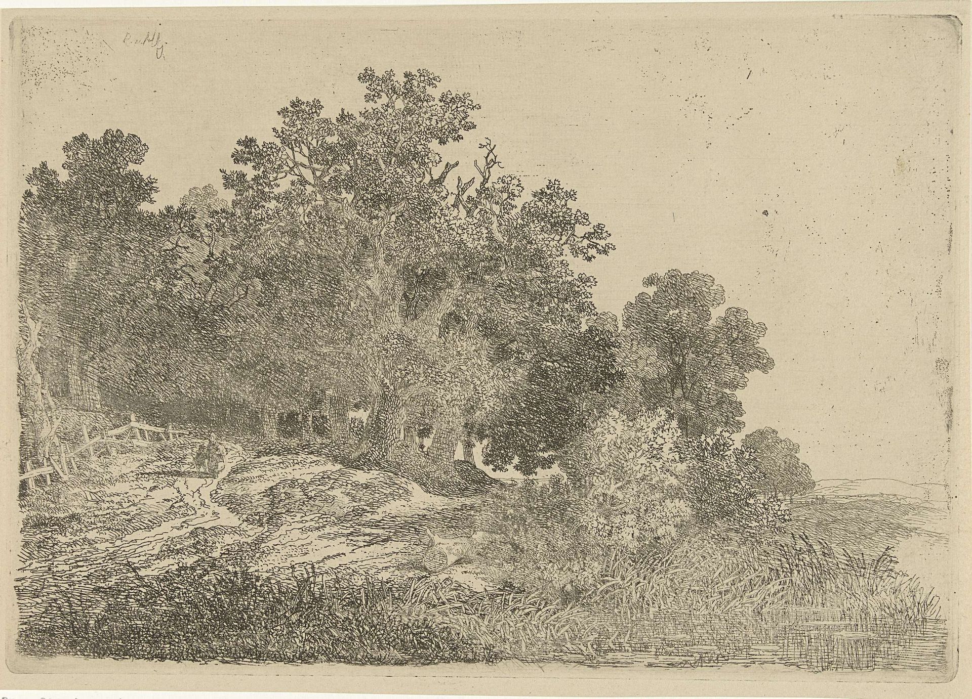 Bosgezicht by Remigius Adrianus Haanen