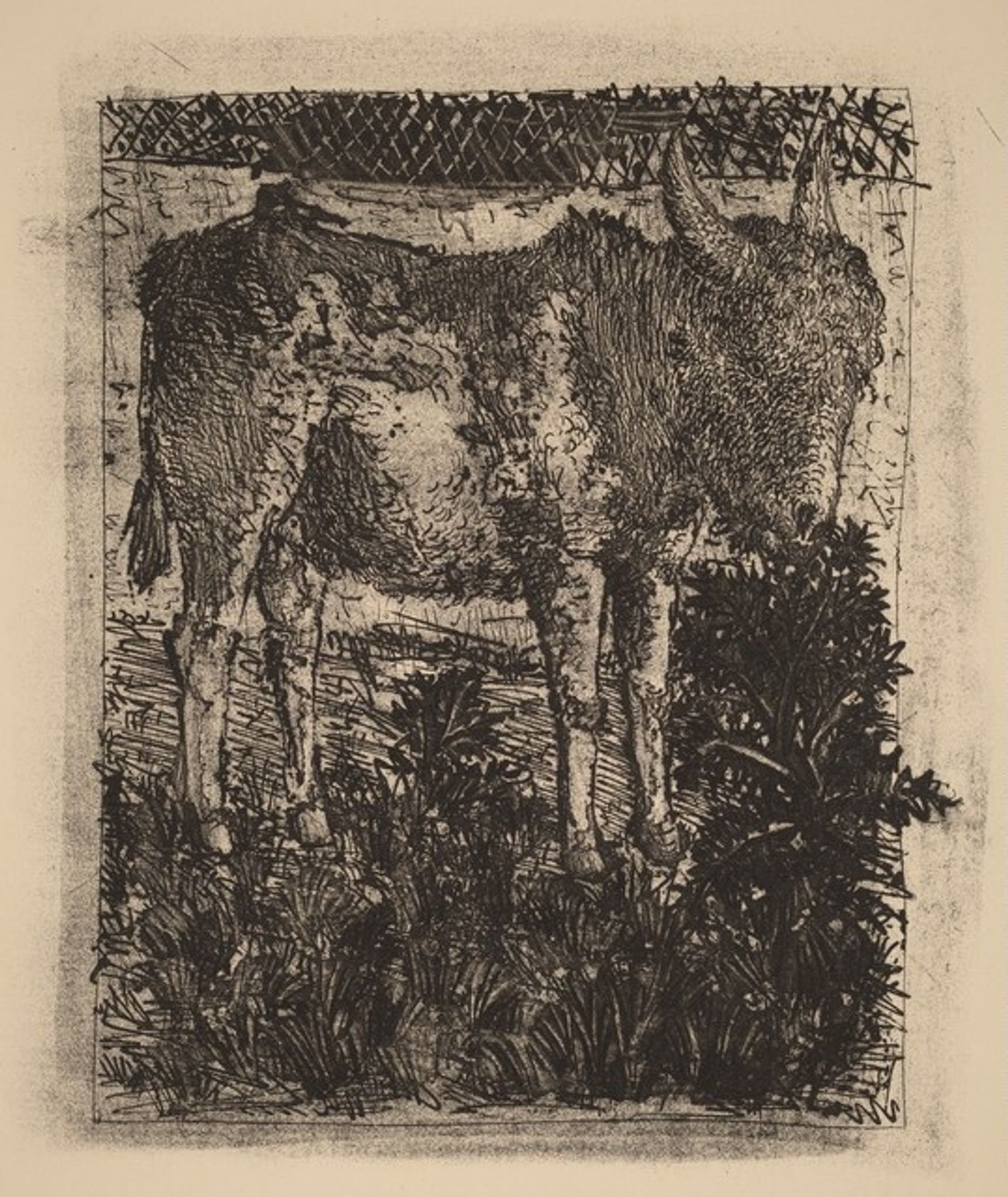 L'Ane (The Donkey) by Pablo Picasso