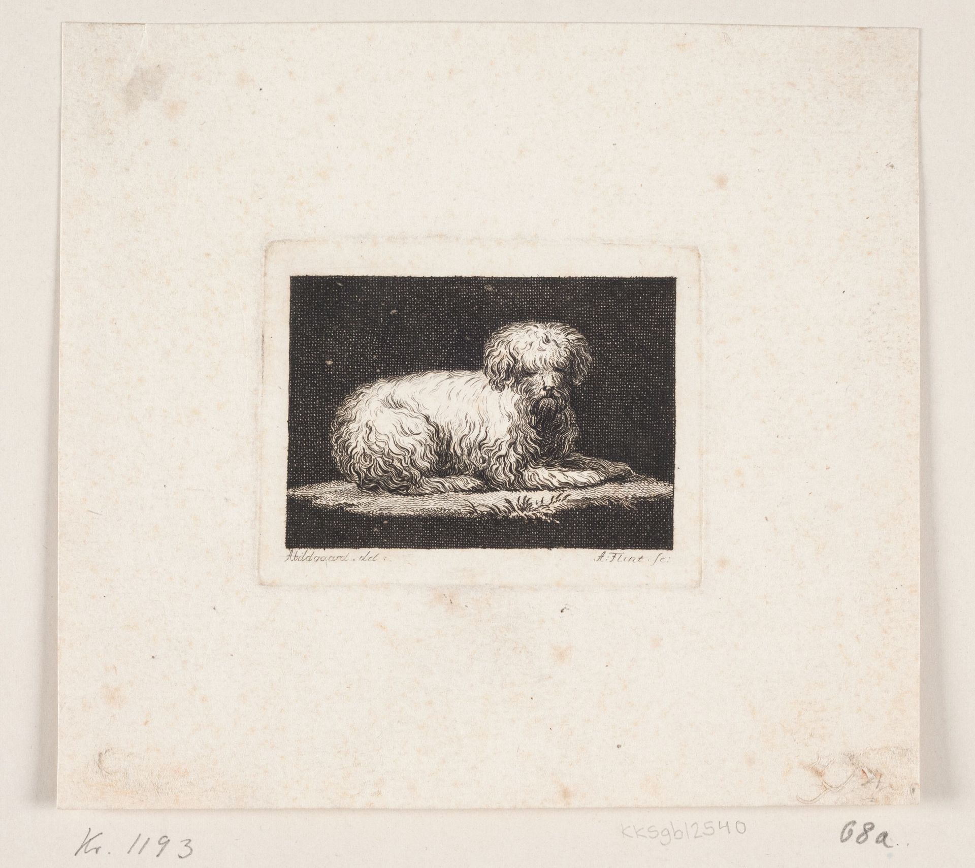 Giordano, en liggende hund by Andreas Flint