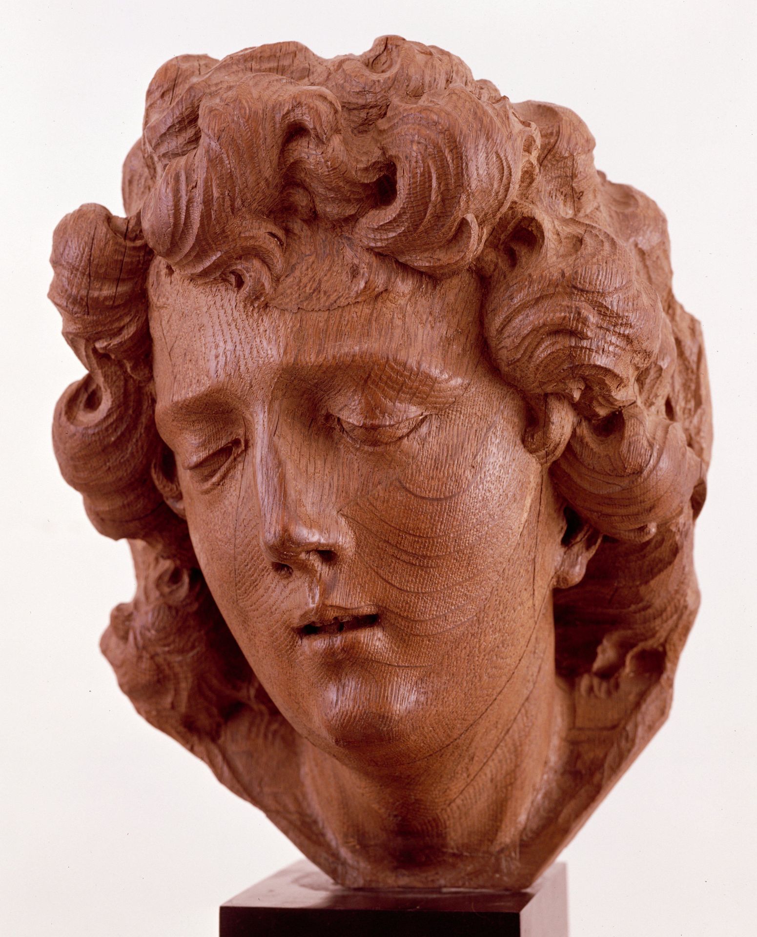 Head of An Angel by Anonymous