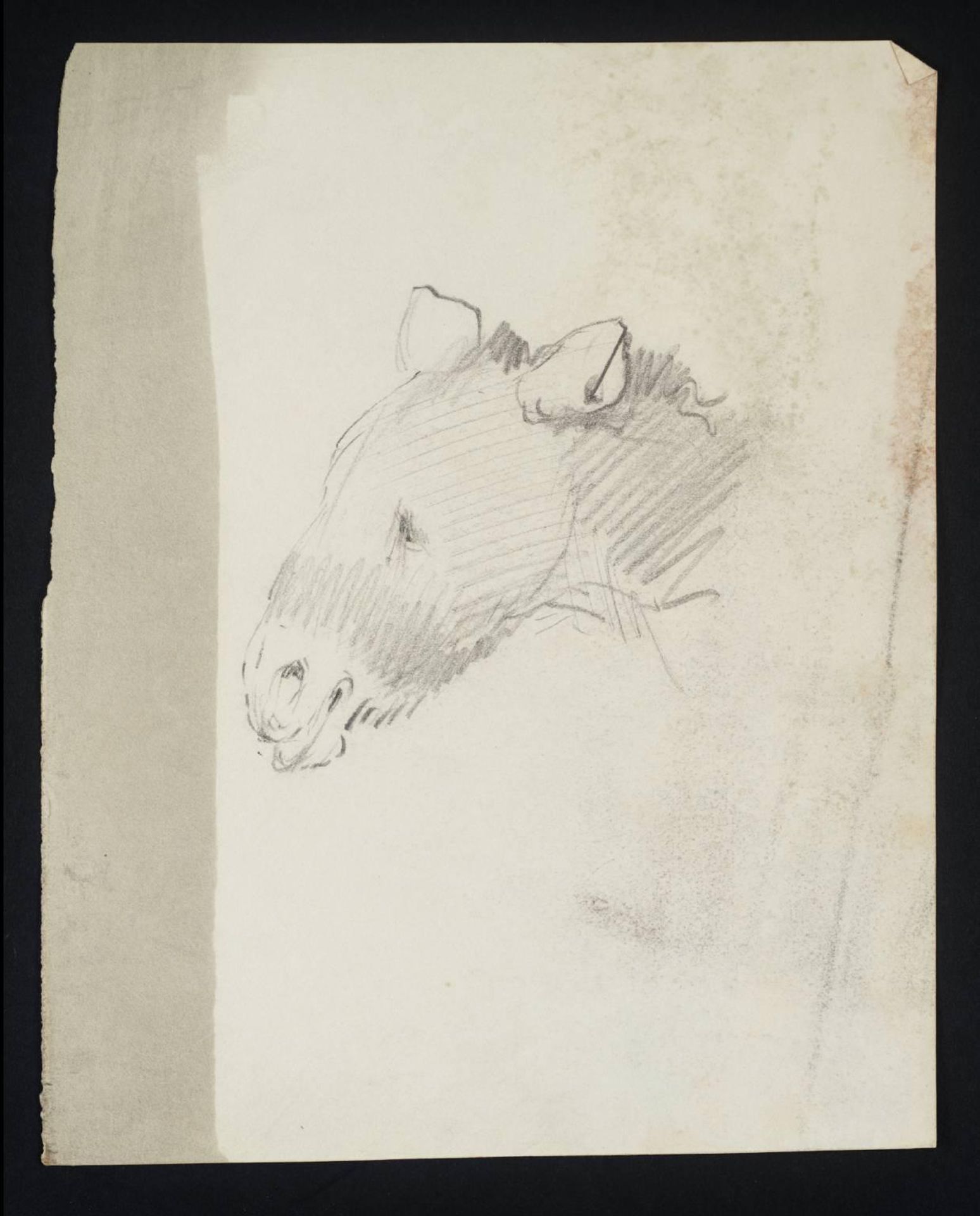 [title not known] by British School