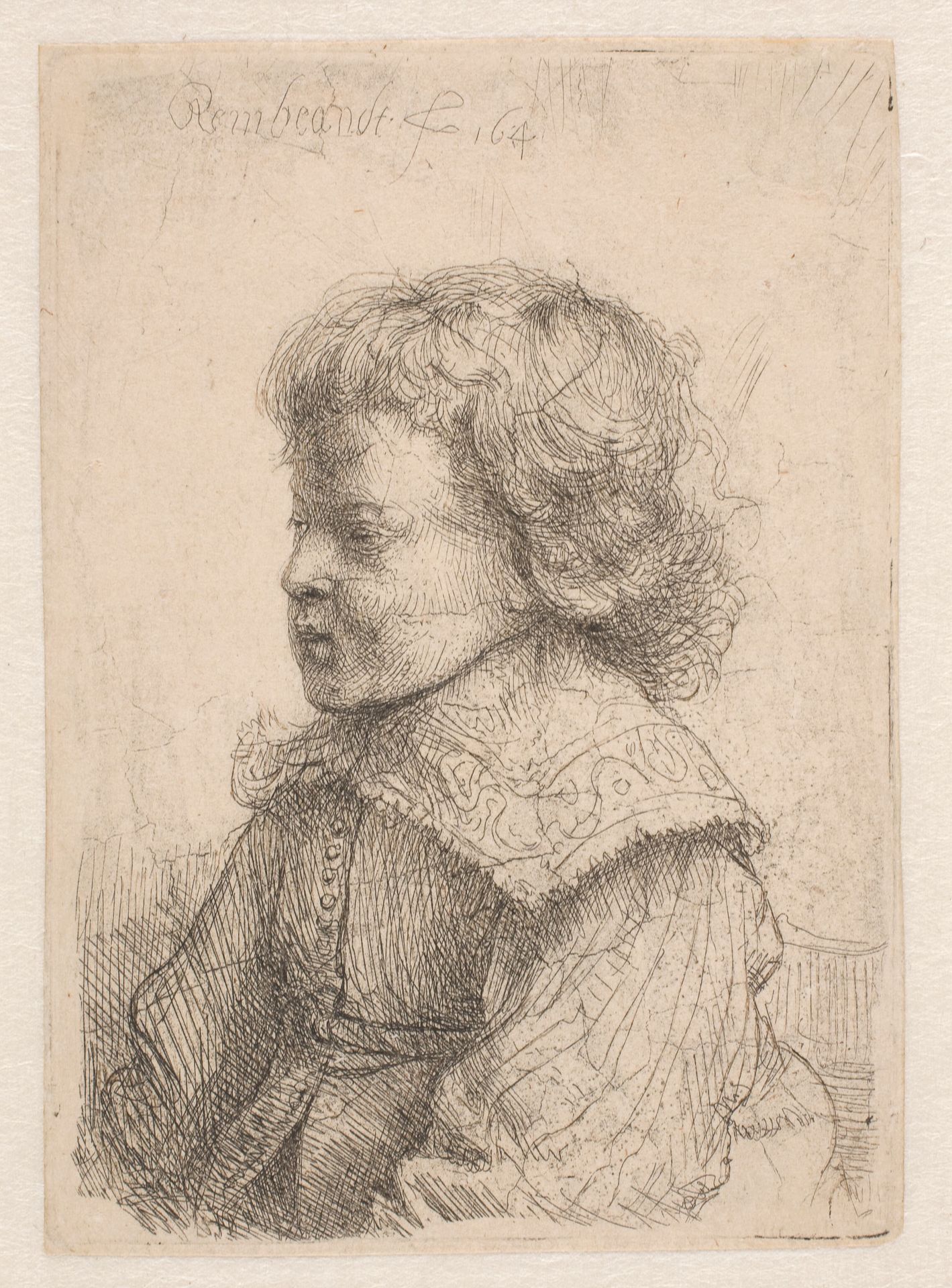 Portrait of a boy, in profile by Rembrandt van Rijn