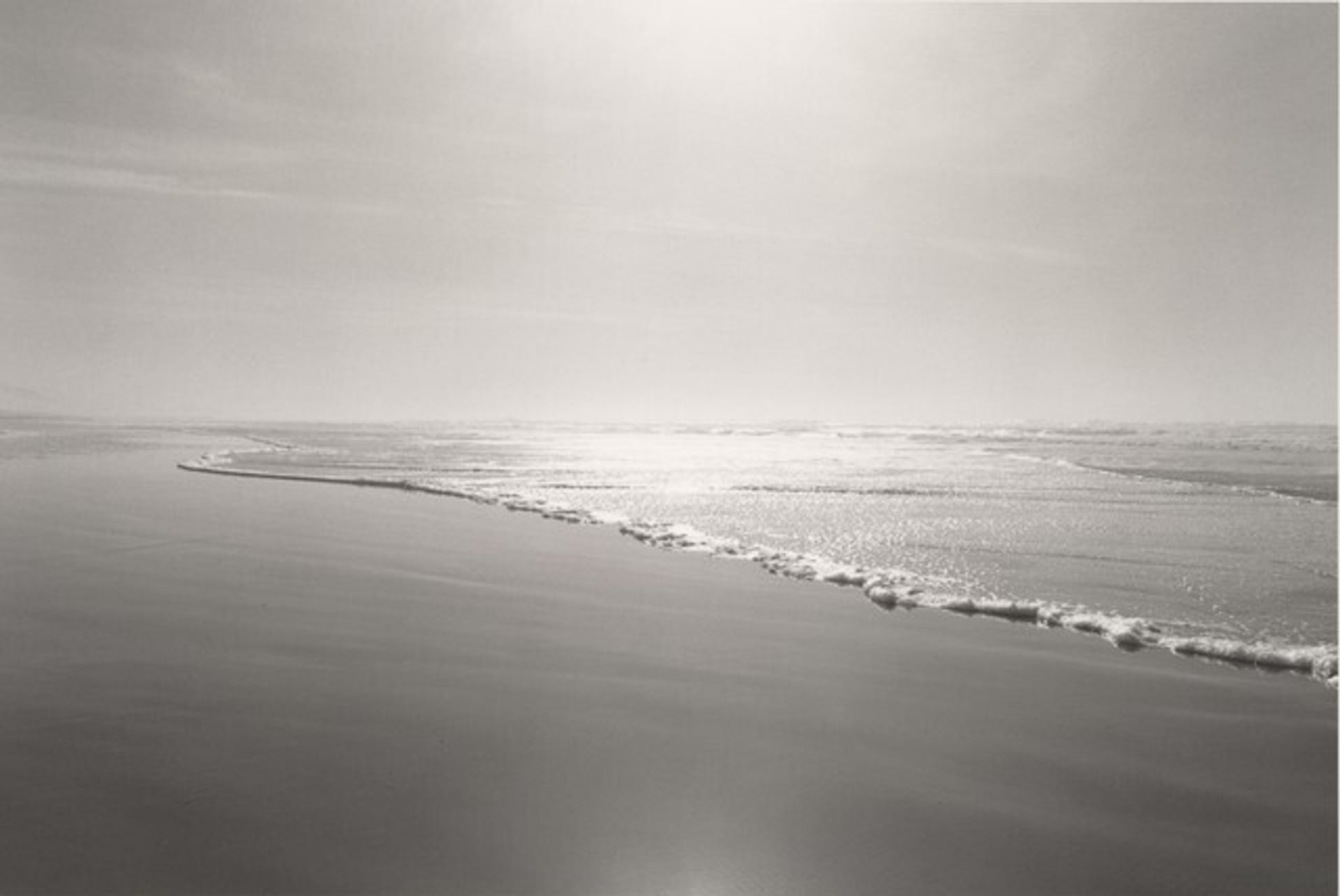 Nehalem Spit, Tillamook County, Oregon by Robert Adams