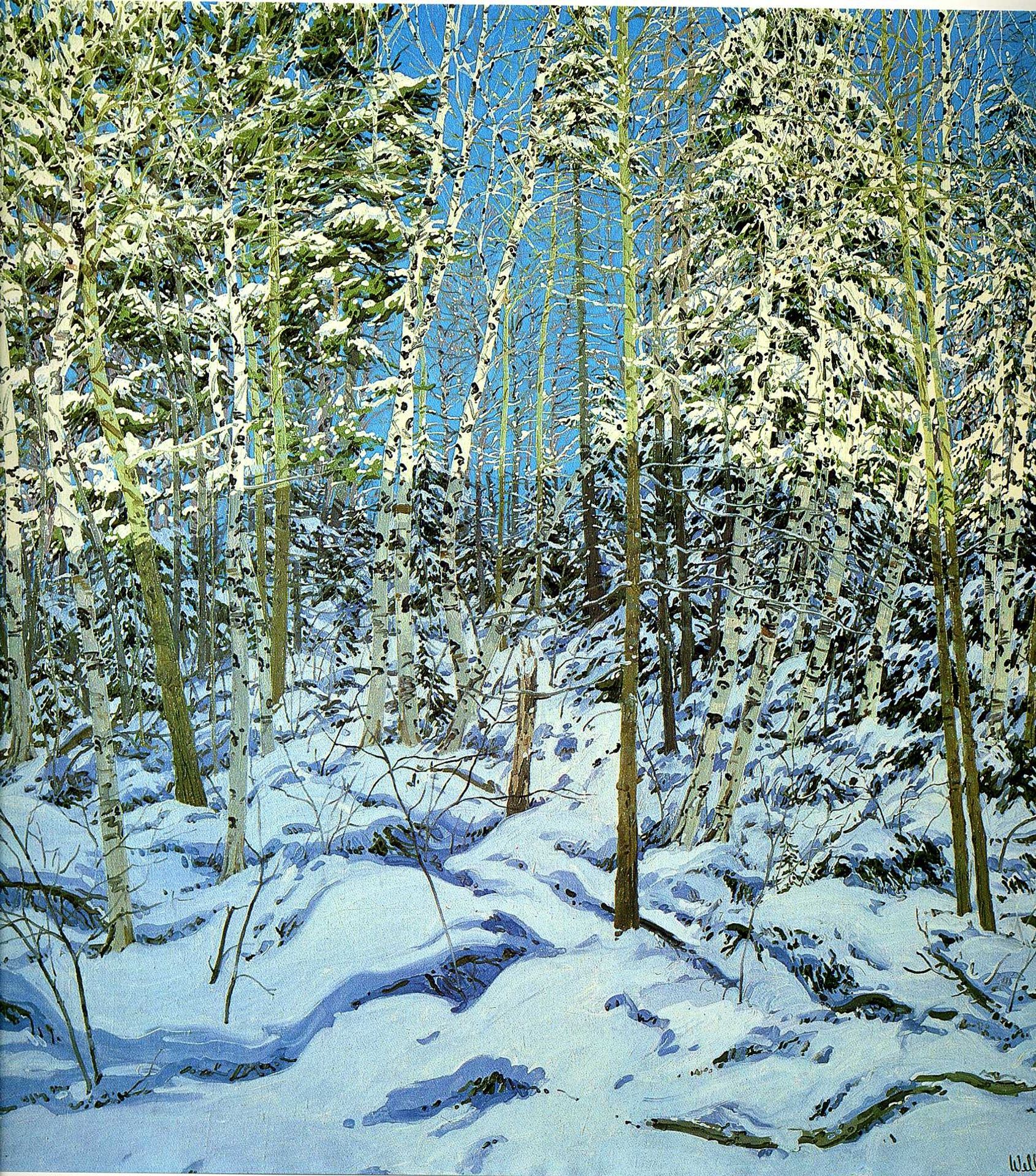 Shadow by Neil Welliver