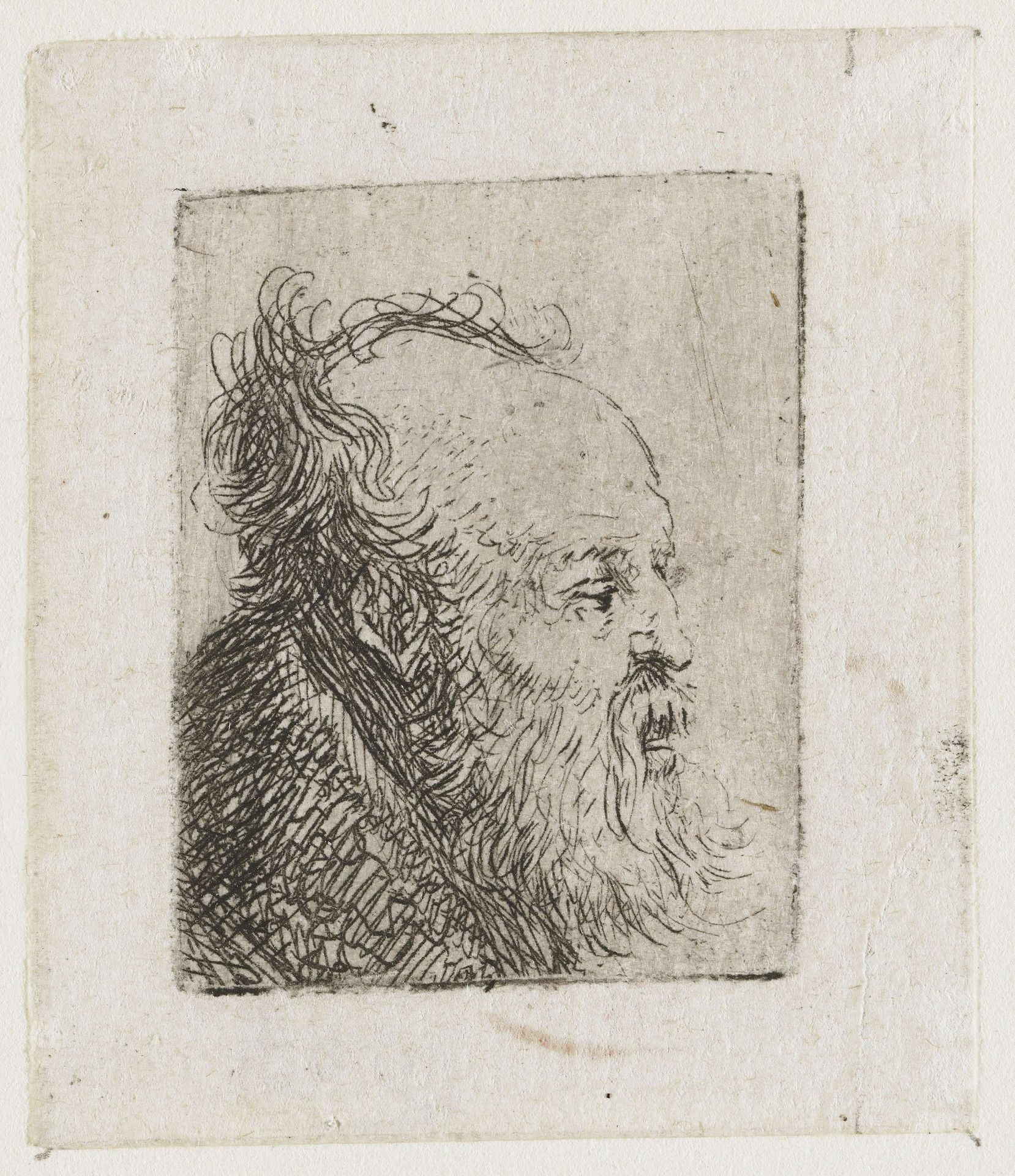 Old Bearded Man, with Mouth Half Open by Rembrandt van Rijn