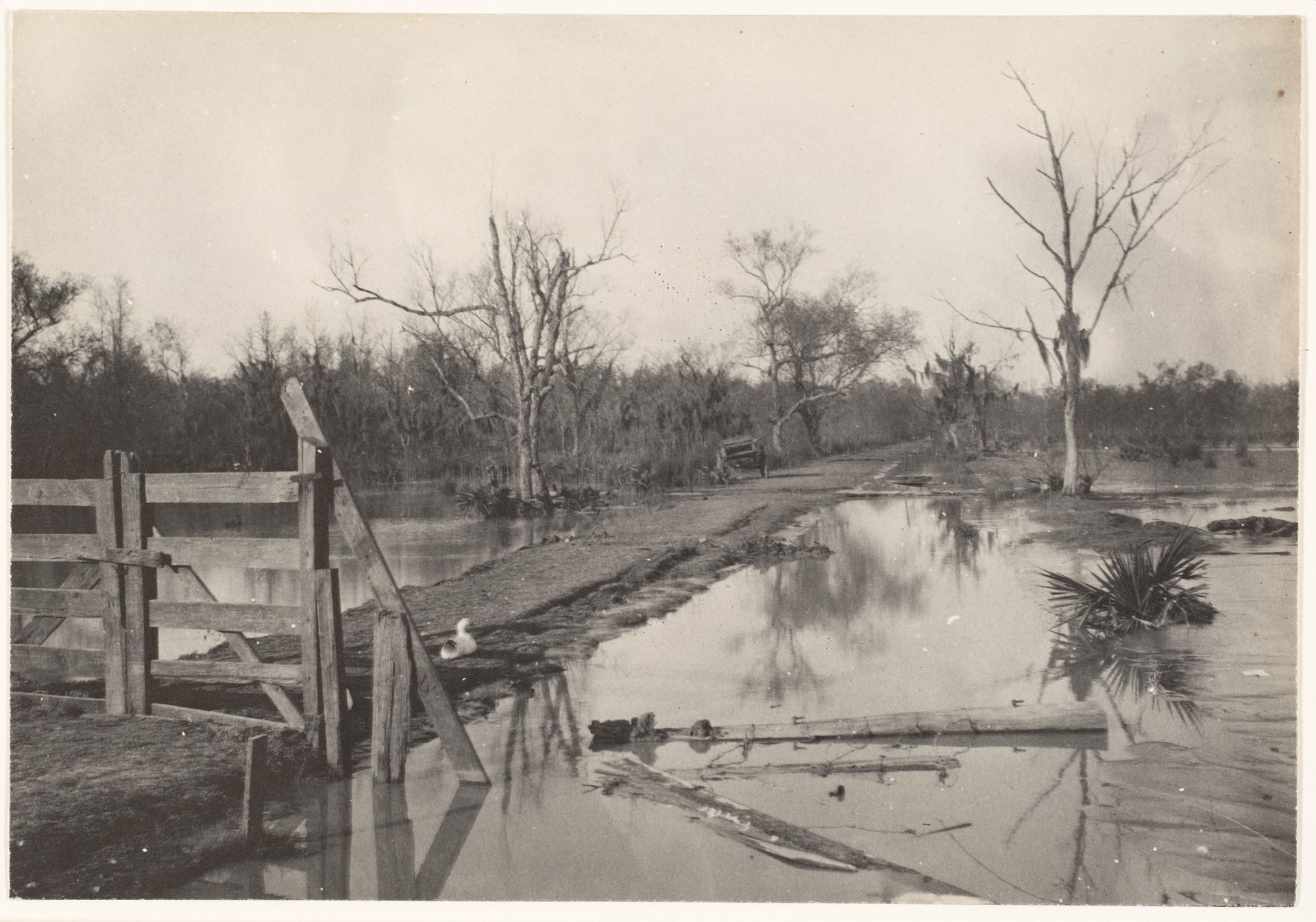 [Road Through Flooded Land] by Morgan Whitney