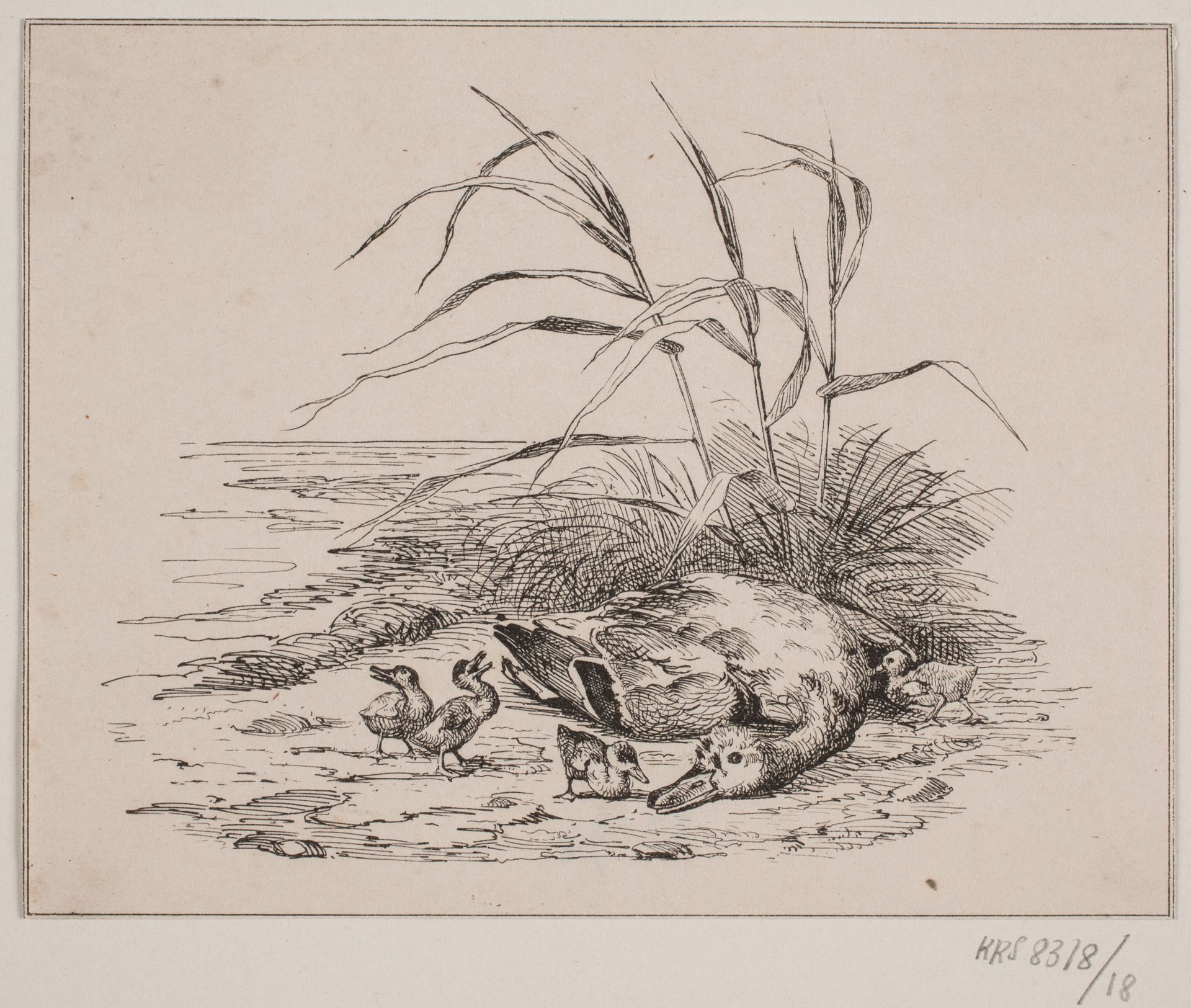 Den dræbte and by Adolph Kittendorff